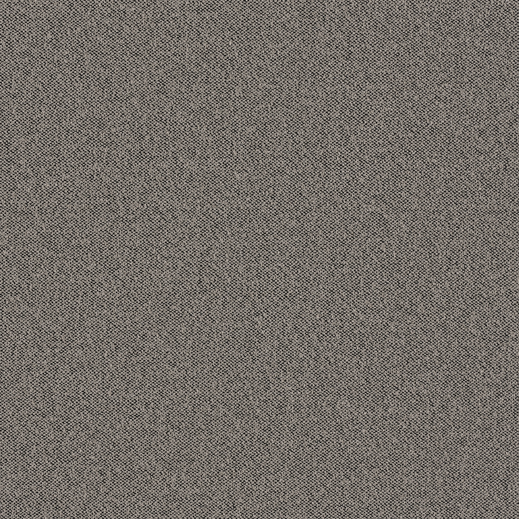 sepia 433__web.jpg