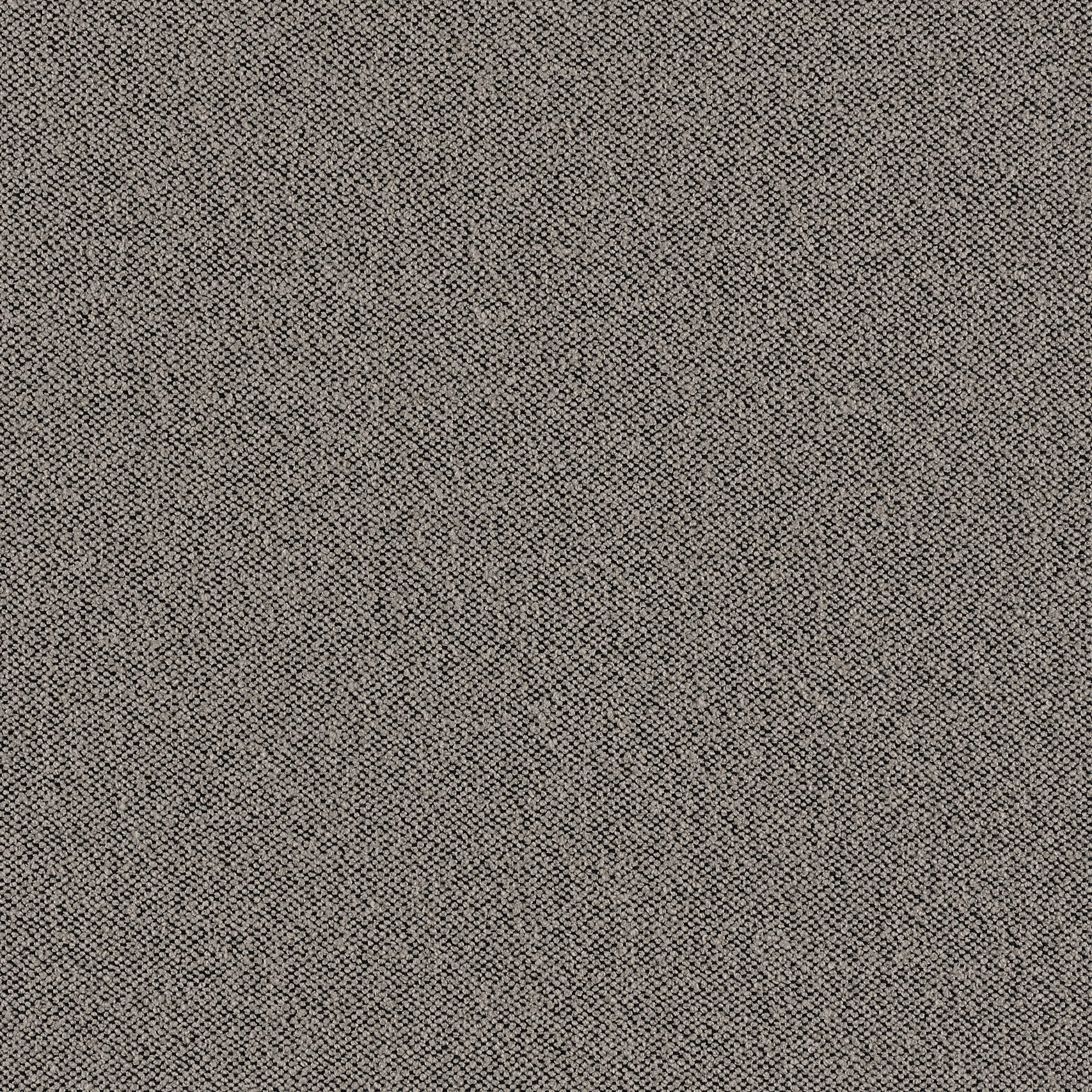 sepia 433_crop_web.jpg
