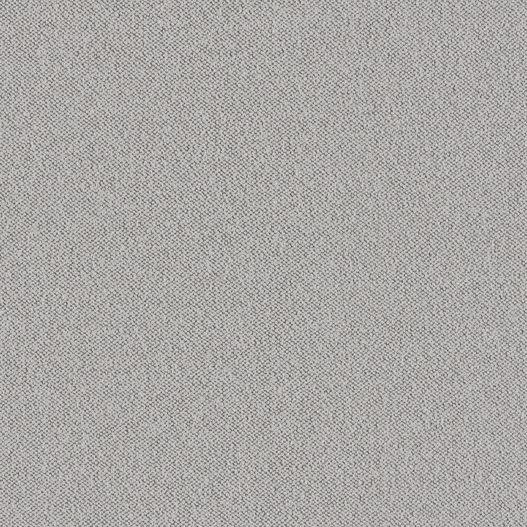 sepia 451_crop_web.jpg