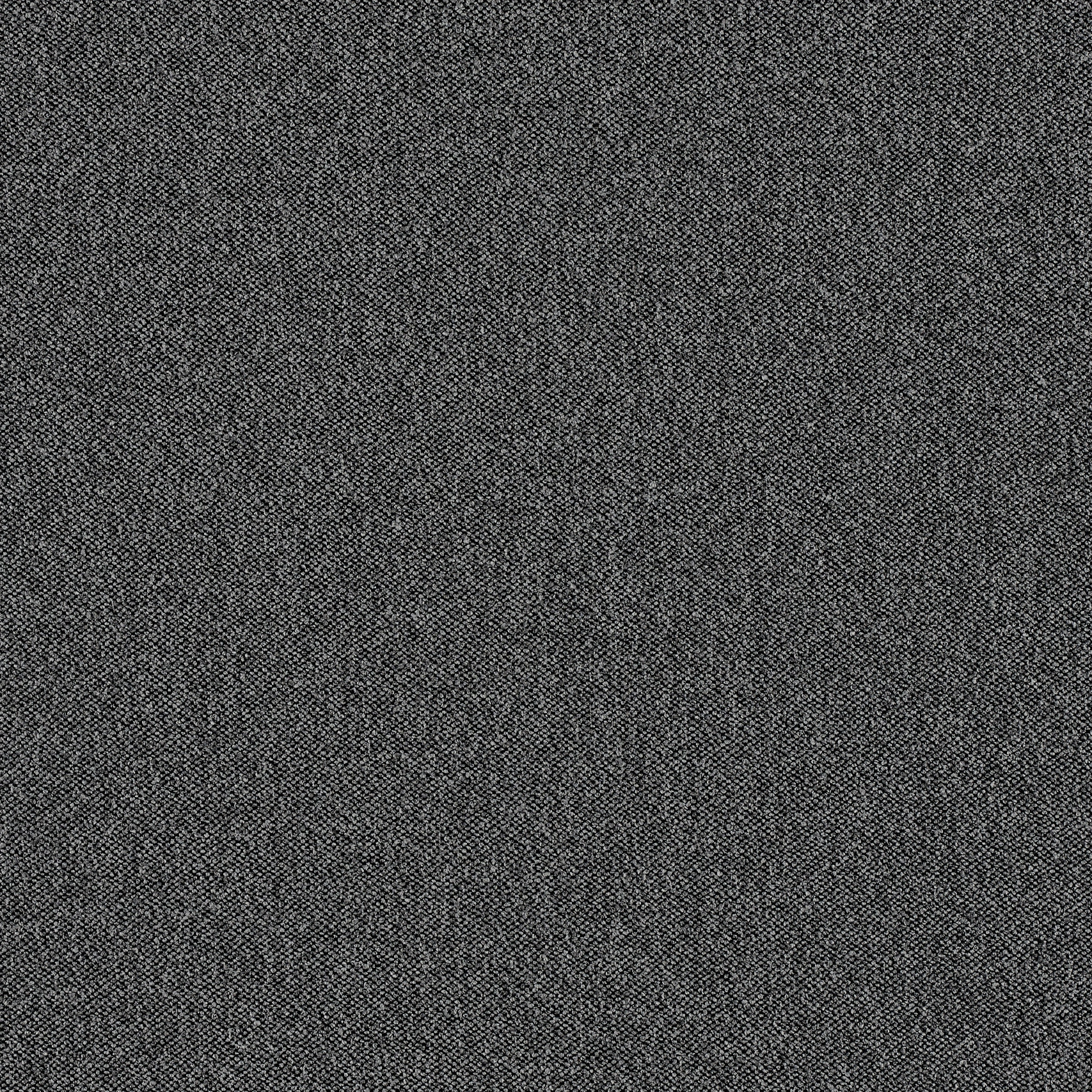 sepia 458__web.jpg