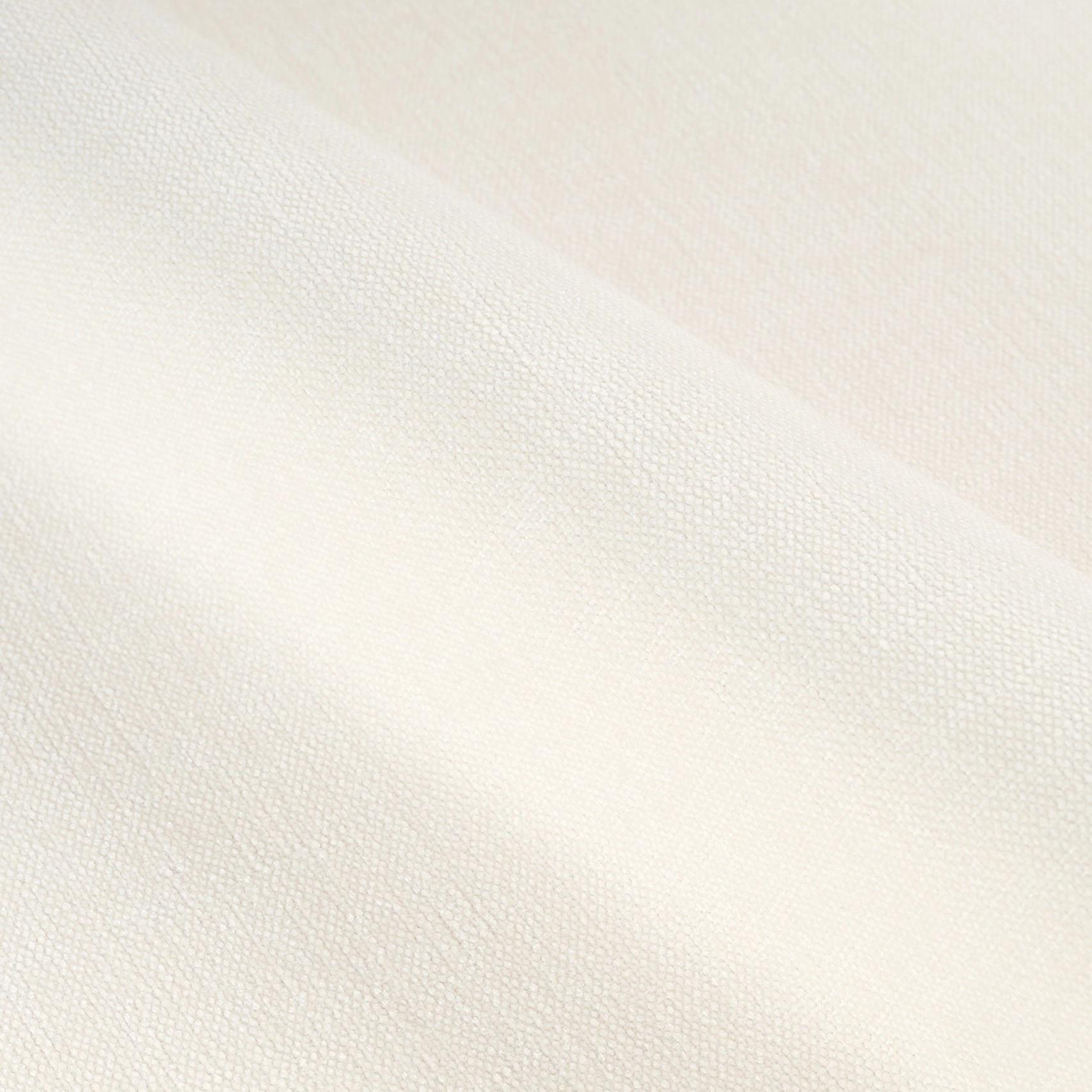 velum 101_art_web.jpg