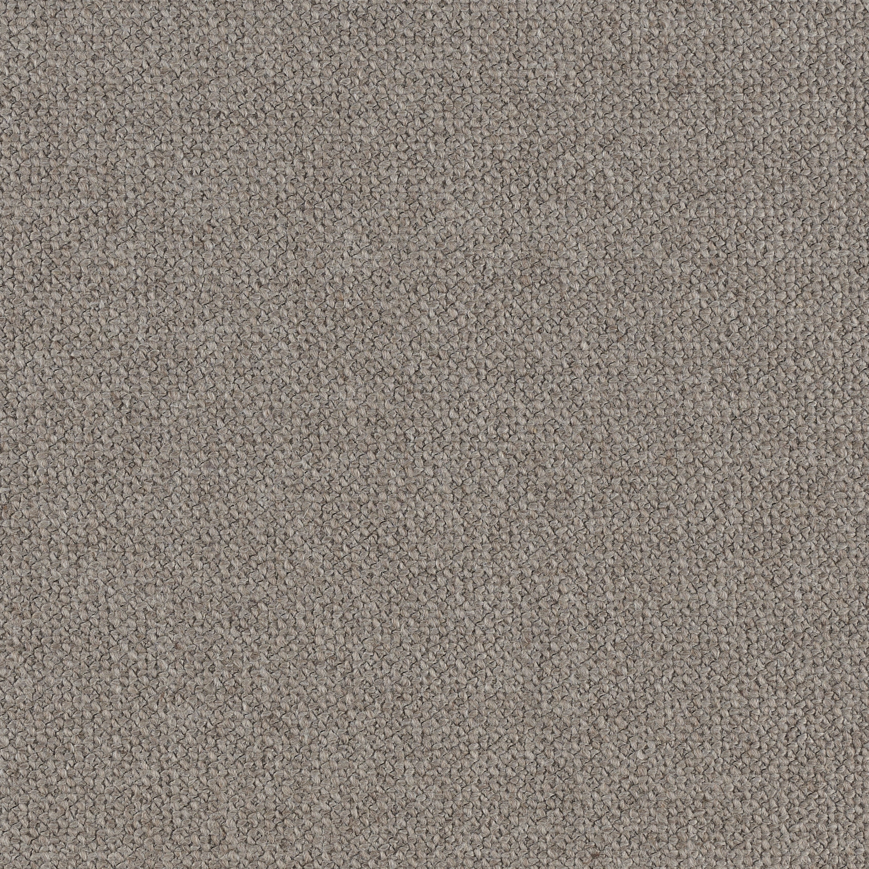 slide 431_crop_web.jpg