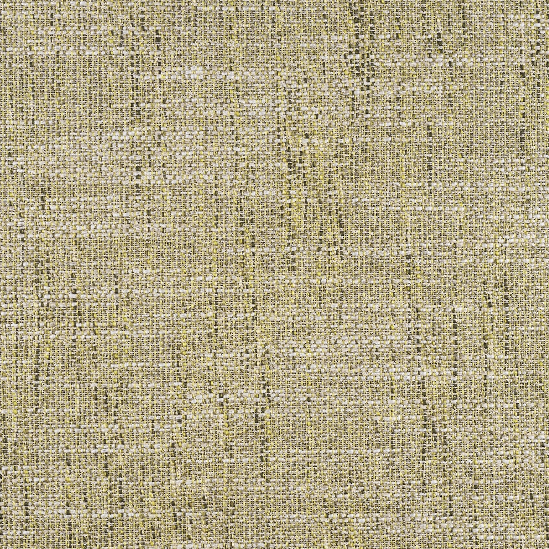 Erba 19_large.jpg