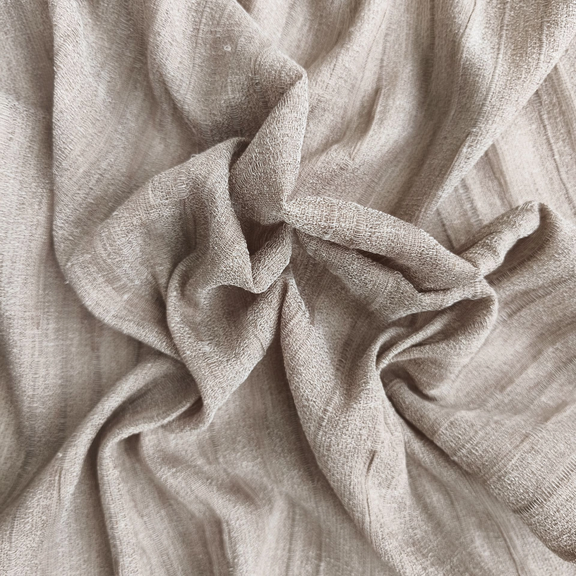 Lulu_501_wrinkled.jpg