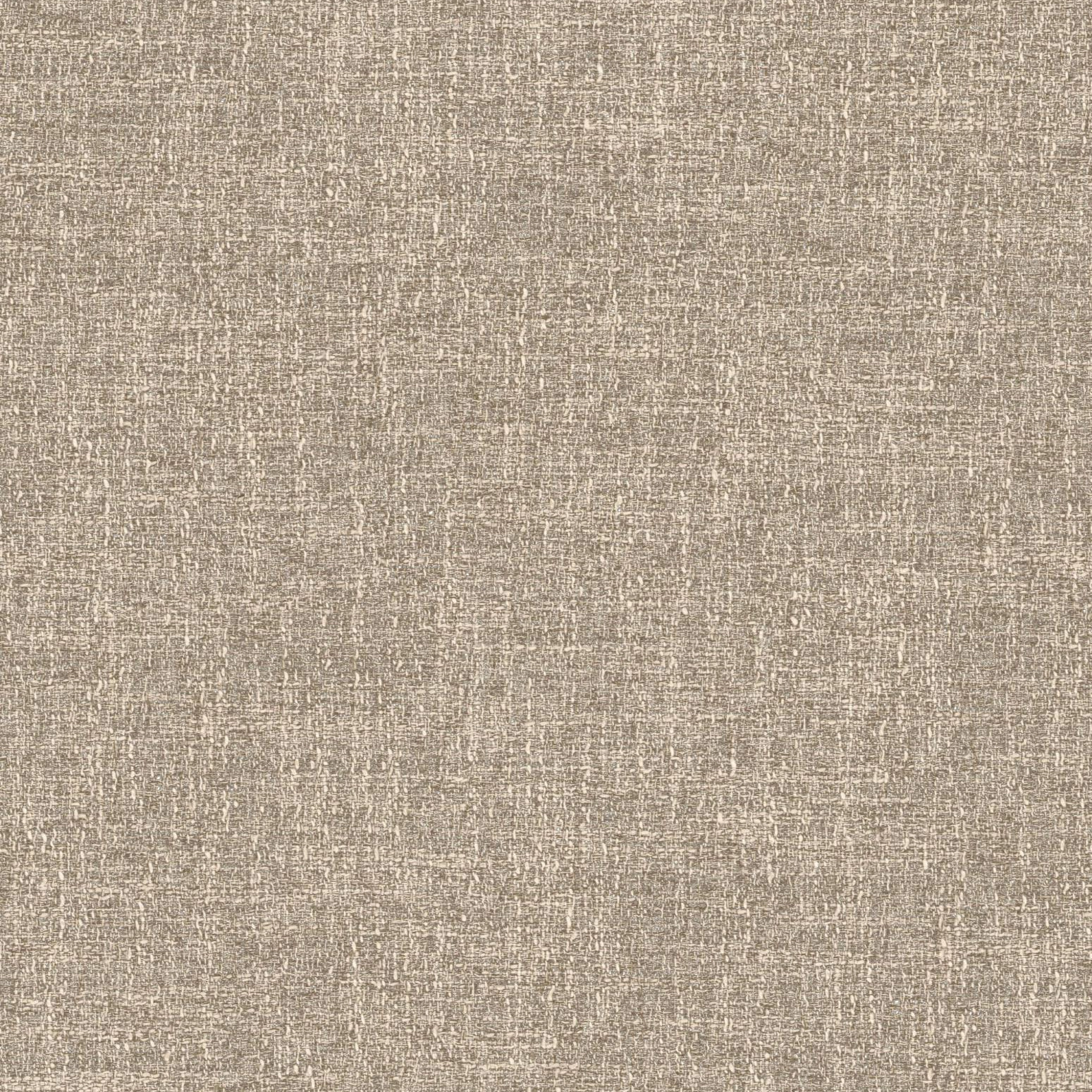 Riki_170_front.jpg