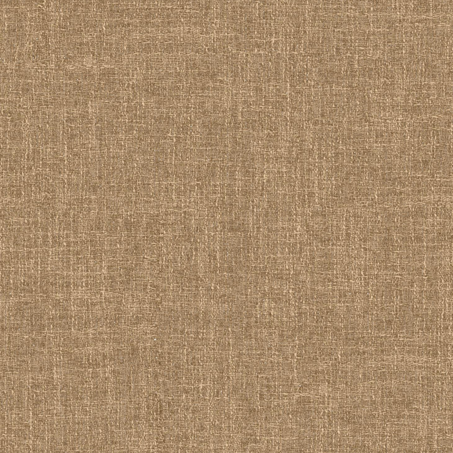 Riki_251_front.jpg