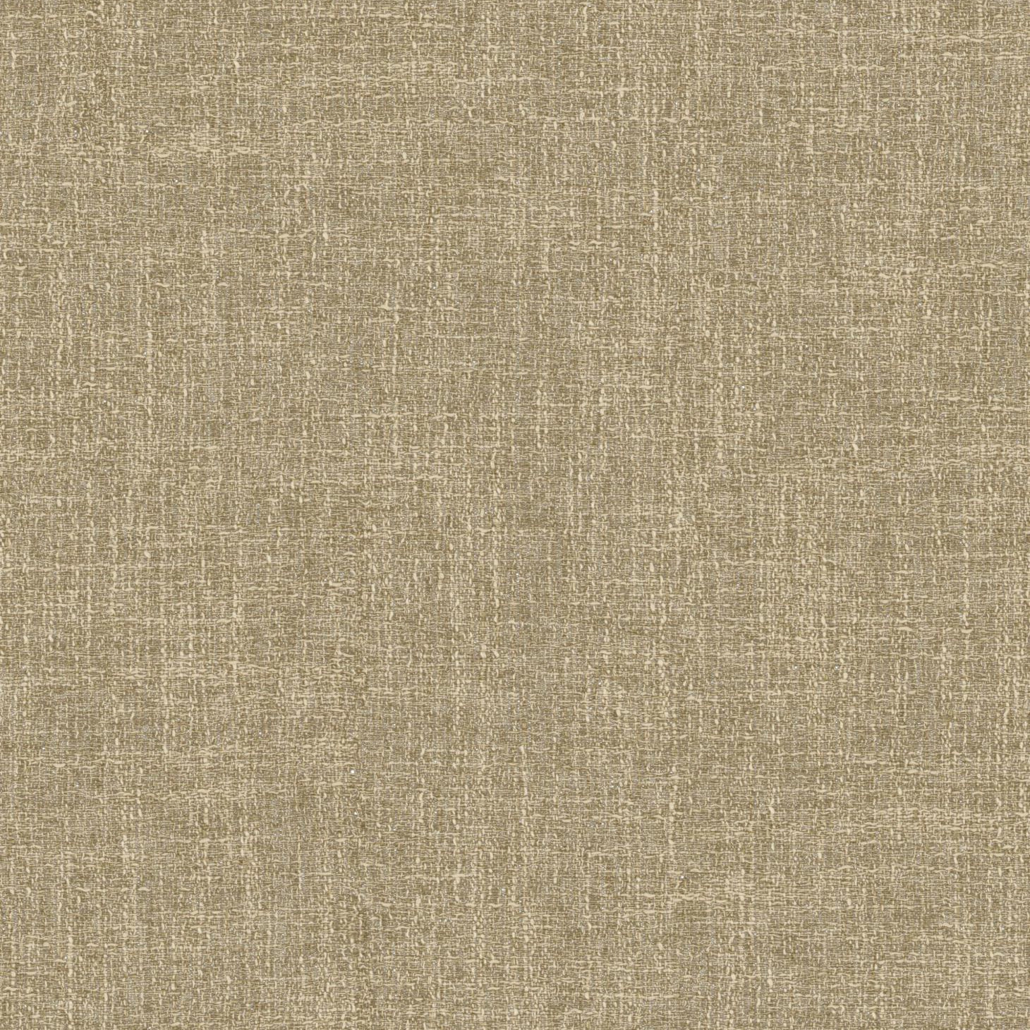 Riki_271_front.jpg