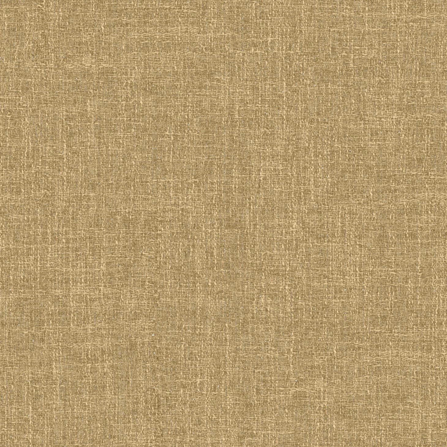 Riki_274_front.jpg