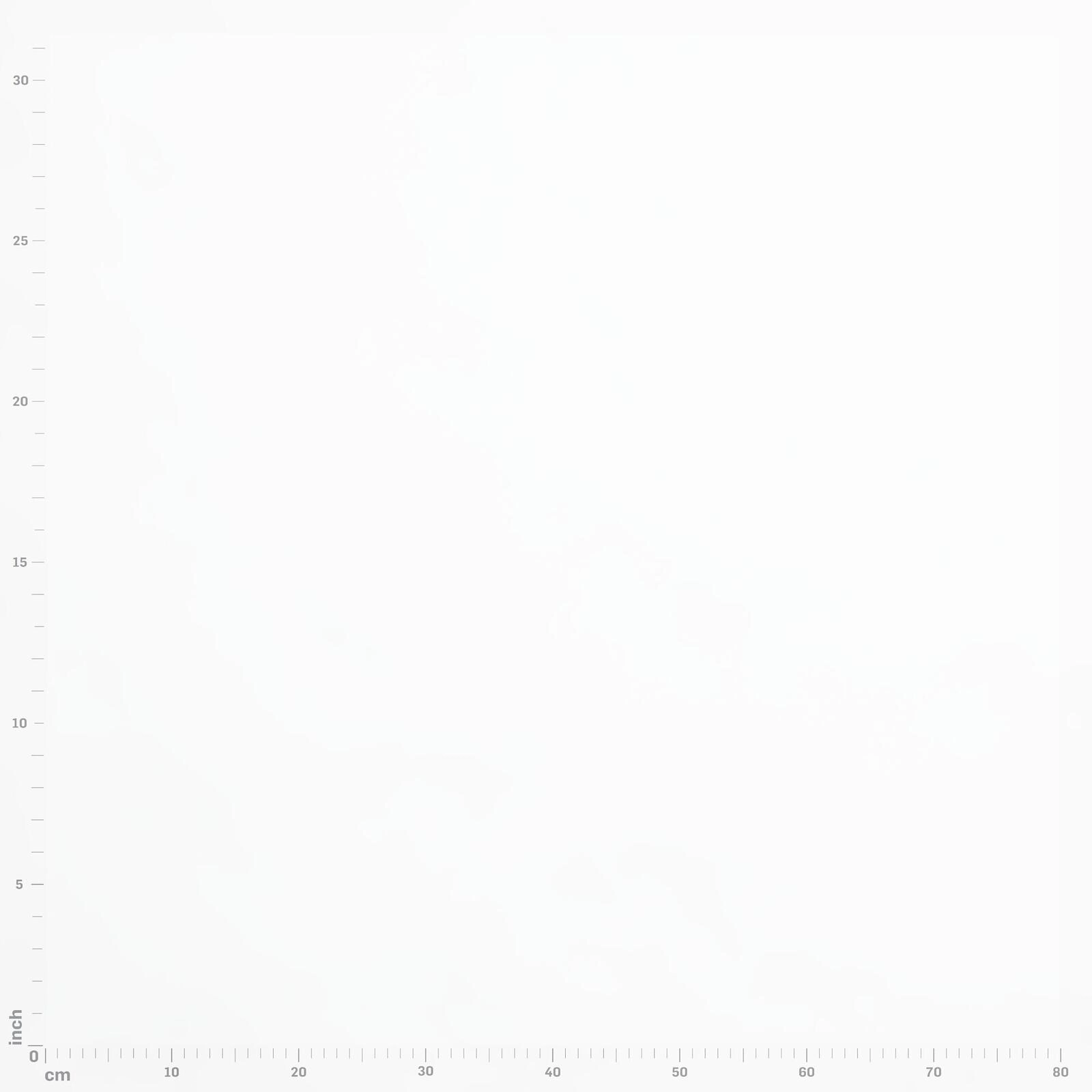 026_White_37000113_4.jpg