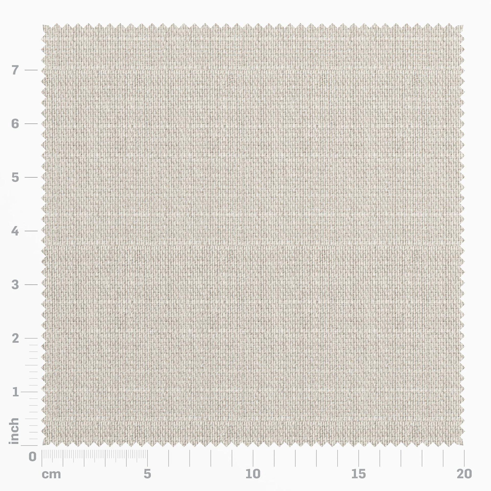 Genial--Genial--02-Feather--FlatShot_FS_ruler_FS_20_ruler.jpg