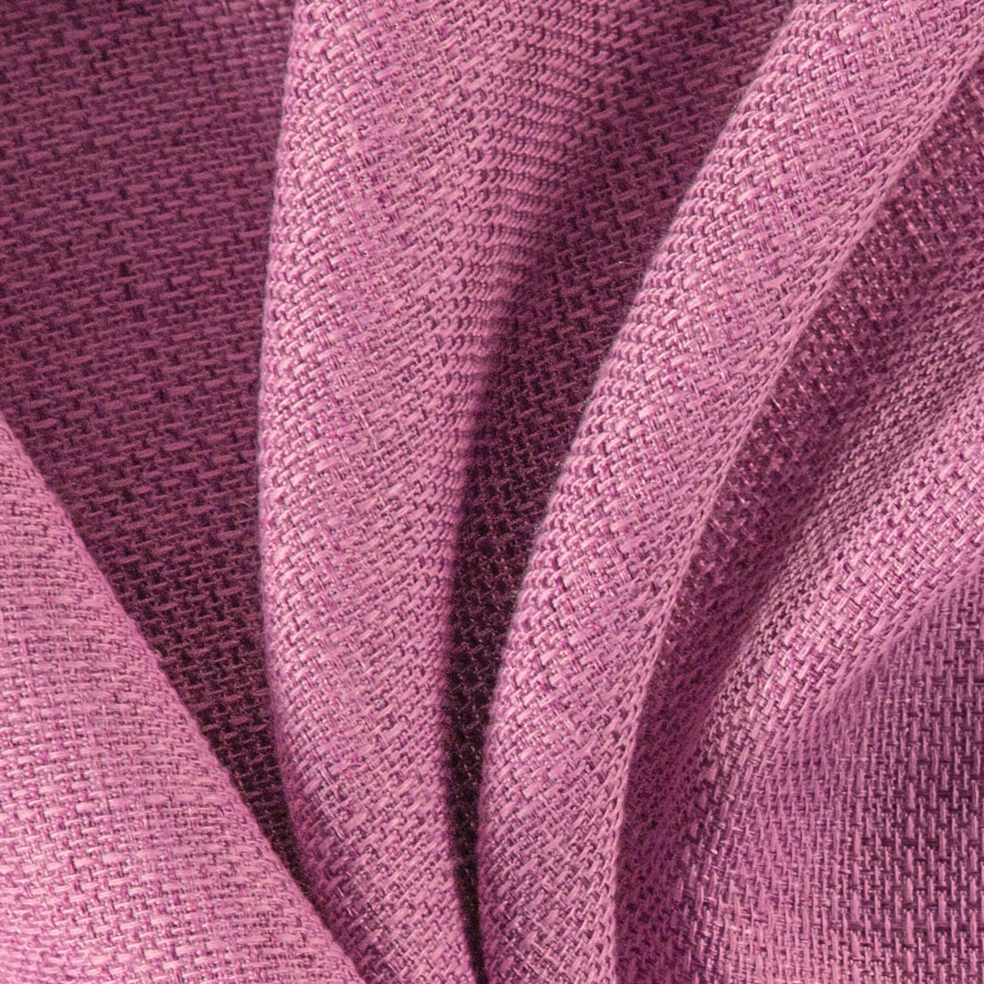 Genial--Genial--19-Fuchsia--Photograph_CloseUp.jpg
