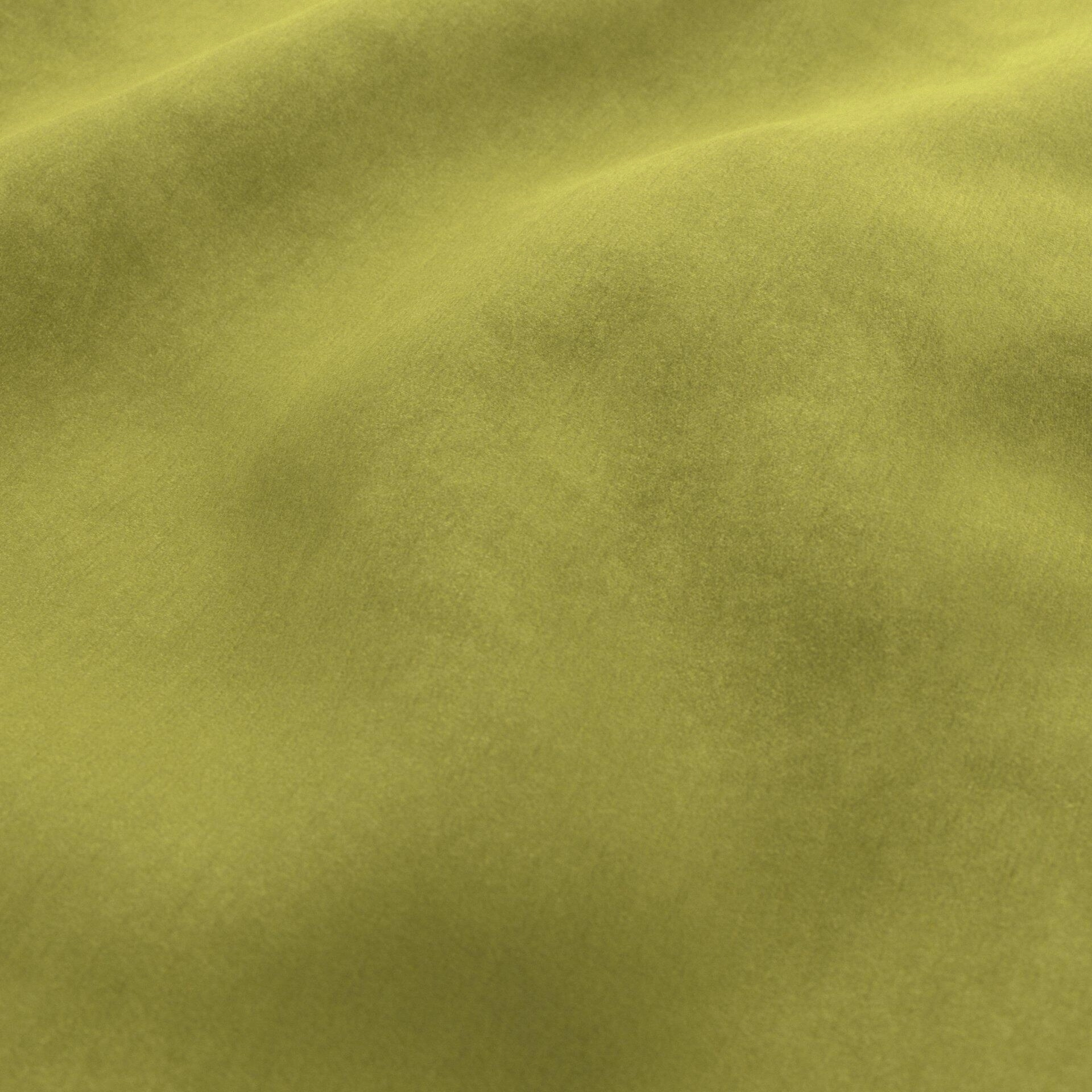 Moon--Moon--09-Moss - Imperial Moss 34300002--Wrinkeled_WR_CloseUp.jpg
