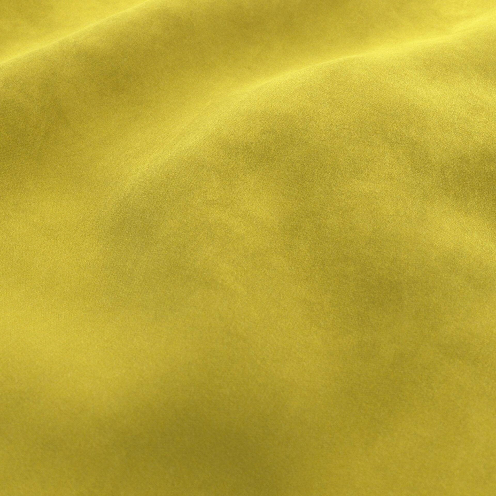 Moon--Moon--10-Mimosa - Imperial Mimosa 34300003--Wrinkeled_WR_CloseUp.jpg