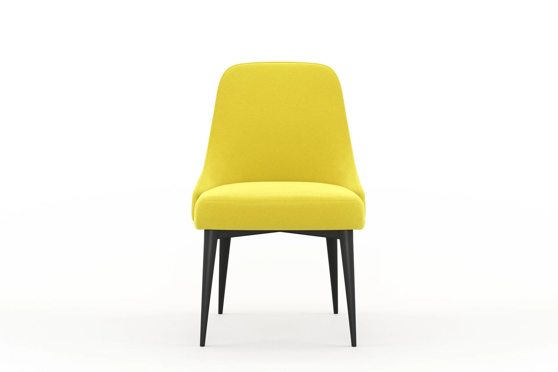 Moon--Moon--10-Mimosa - Imperial Mimosa 34300003--Chair_DiningChair_Front.jpg