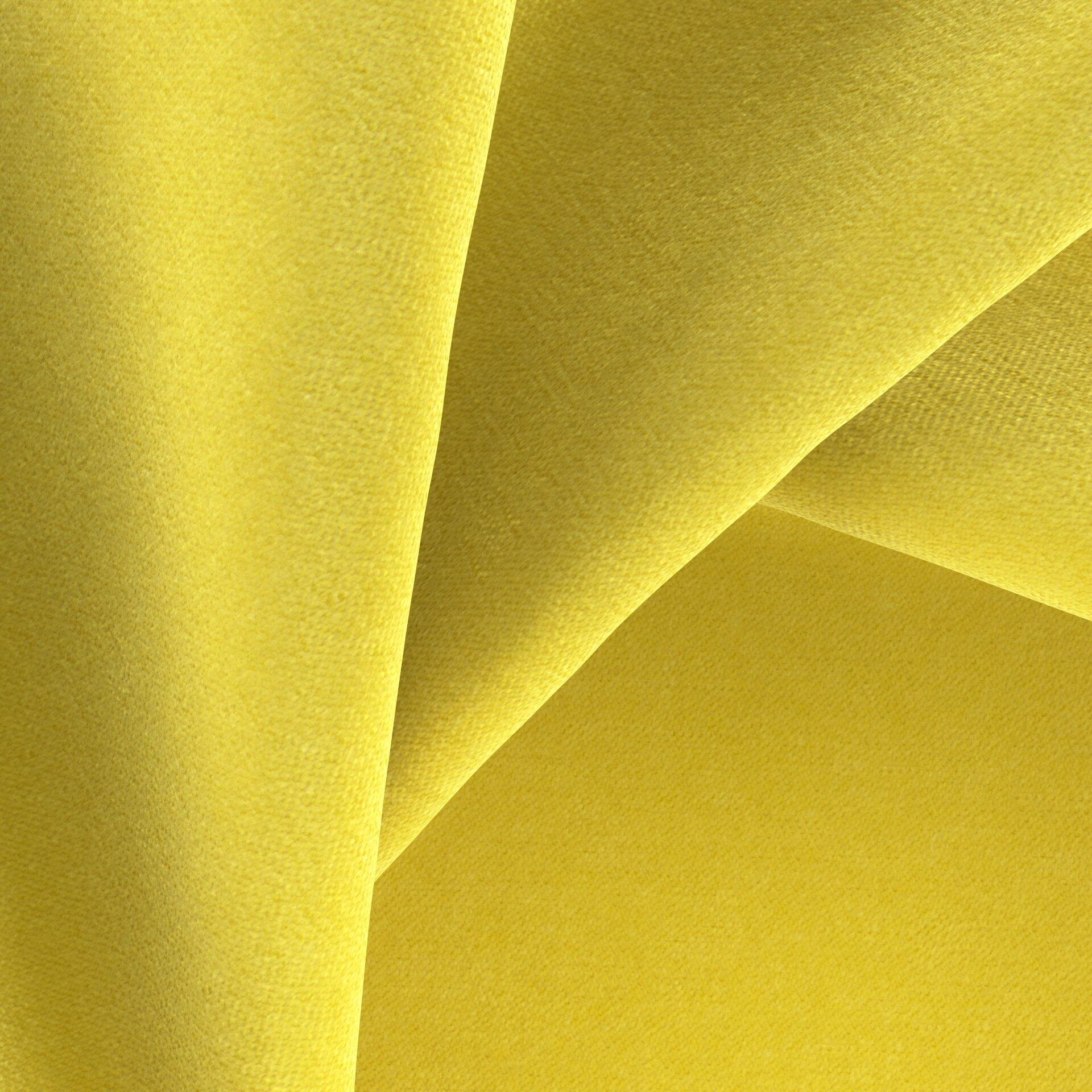 Moon--Moon--10-Mimosa - Imperial Mimosa 34300003--CloseUp_TW_CU.jpg