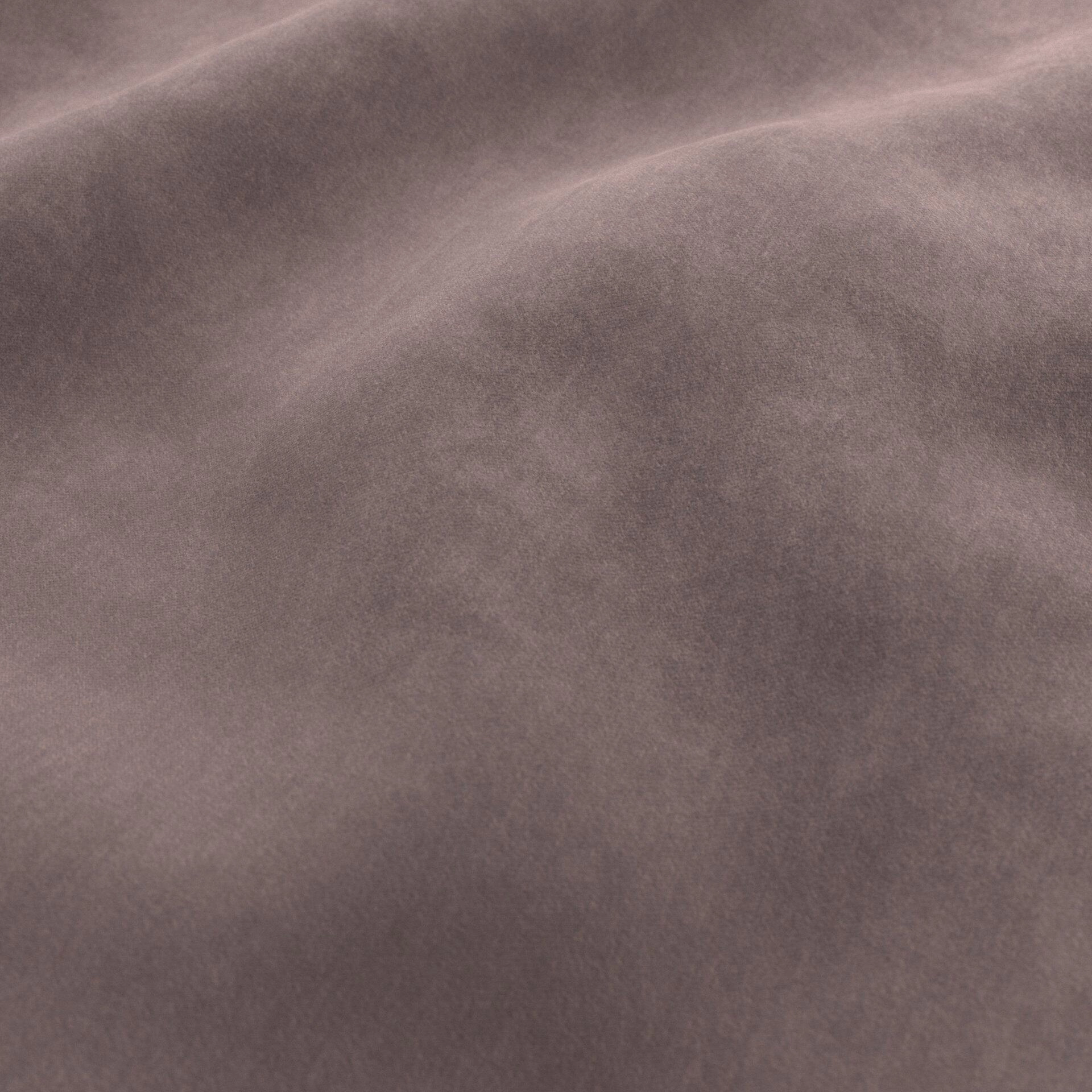 Moon--Moon--14-Chinchilla - Imperial Chinchilla 34300022--Wrinkeled_WR_CloseUp.jpg