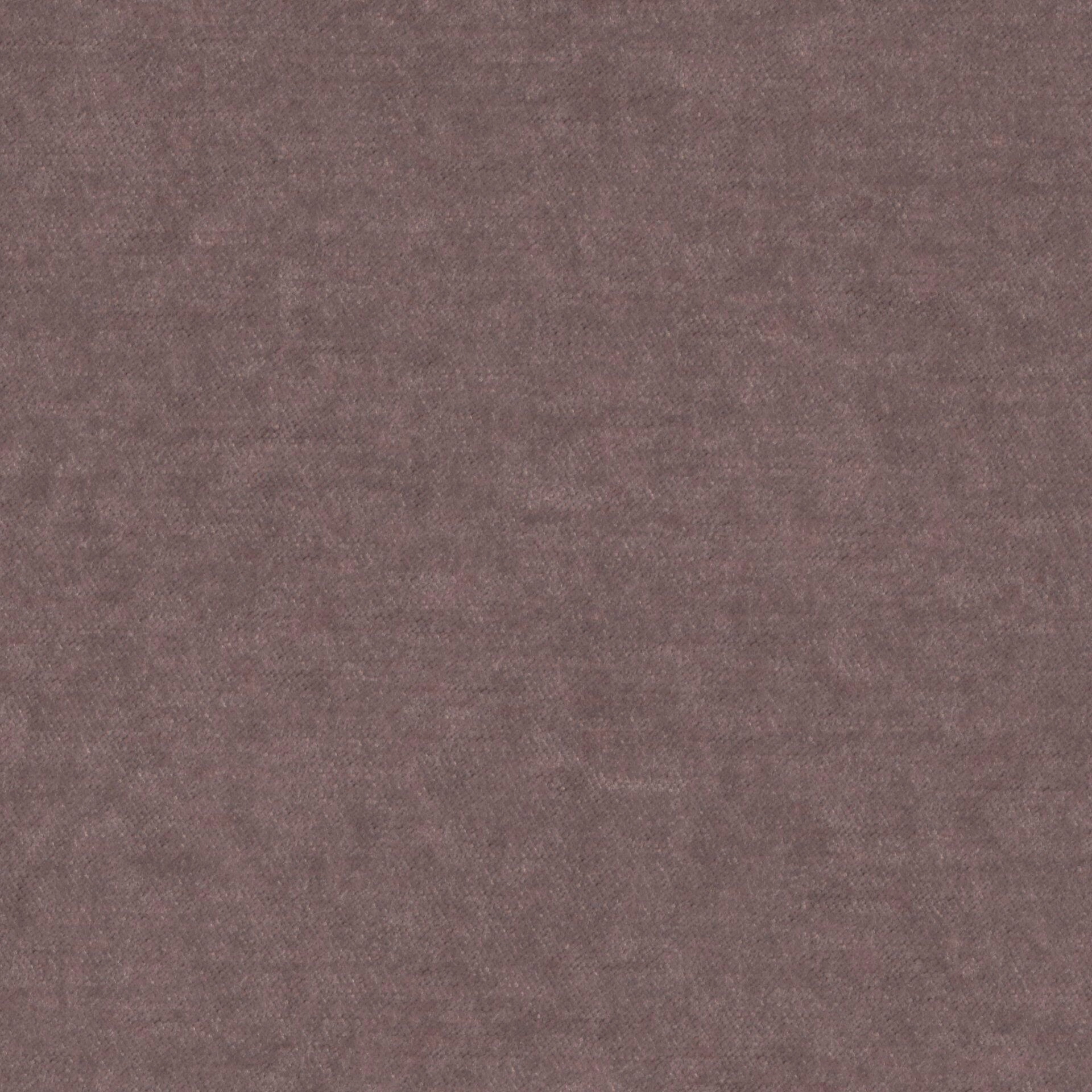 Moon--Moon--14-Chinchilla - Imperial Chinchilla 34300022--FlatShot_FS_FS_20.jpg