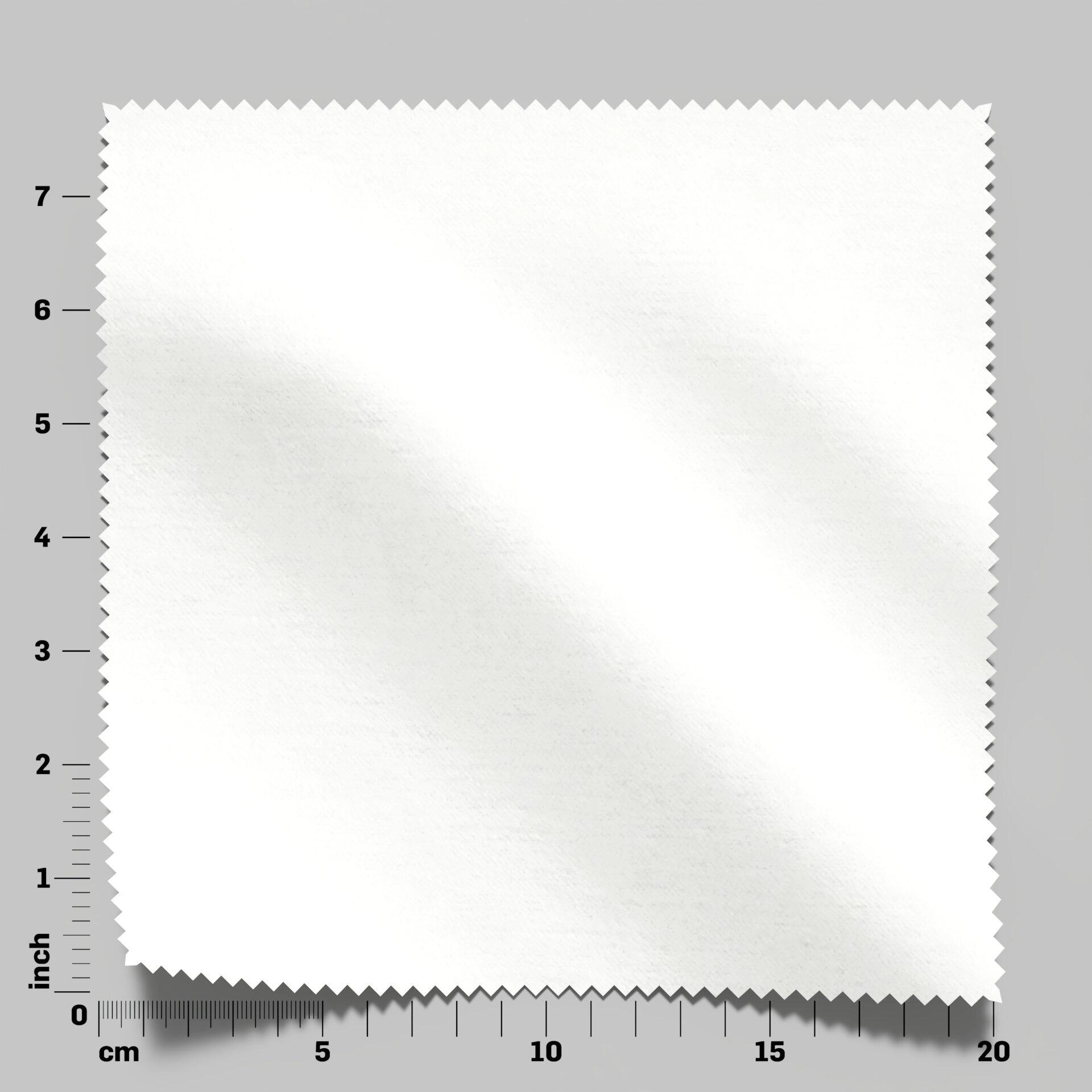 Moon--Moon--21-Snow - Imperial Snow 34300015--FlatShot_Swatch_ruler_Front.jpg