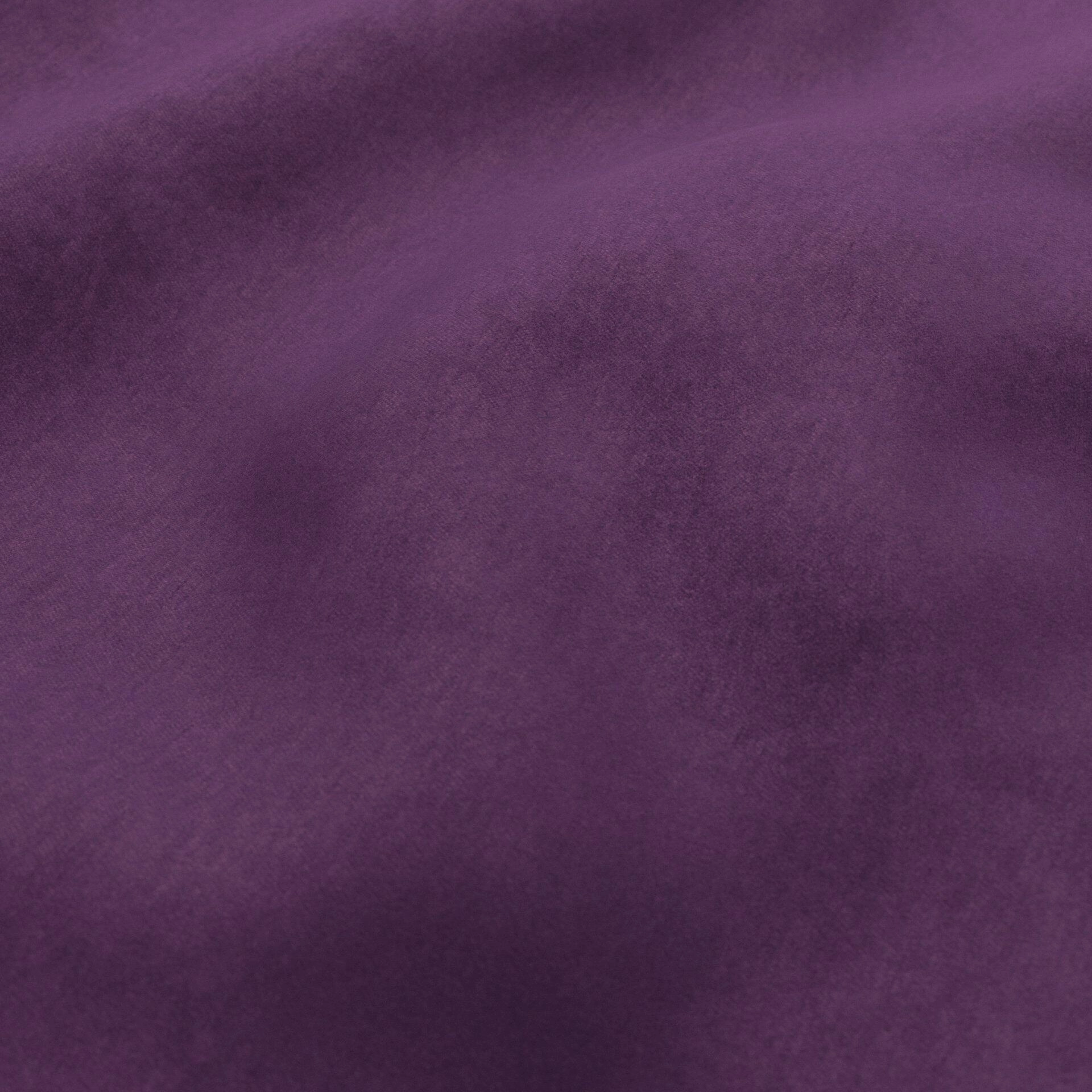 Moon--Moon--31-Emperor--Wrinkeled_WR_CloseUp.jpg