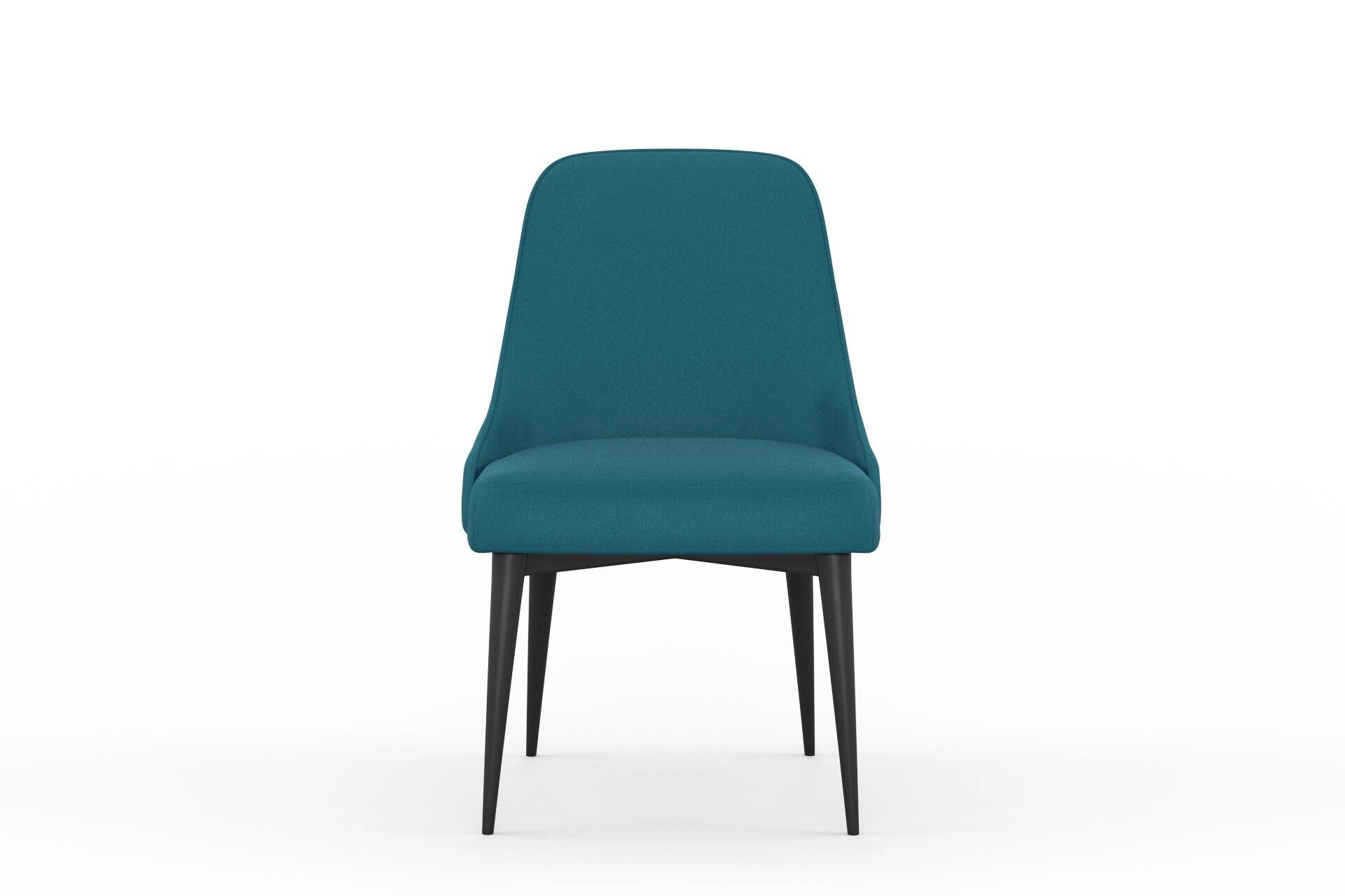 Sensuous--Sensuous--09-Peacock--Chair_DiningChair_Front.jpg
