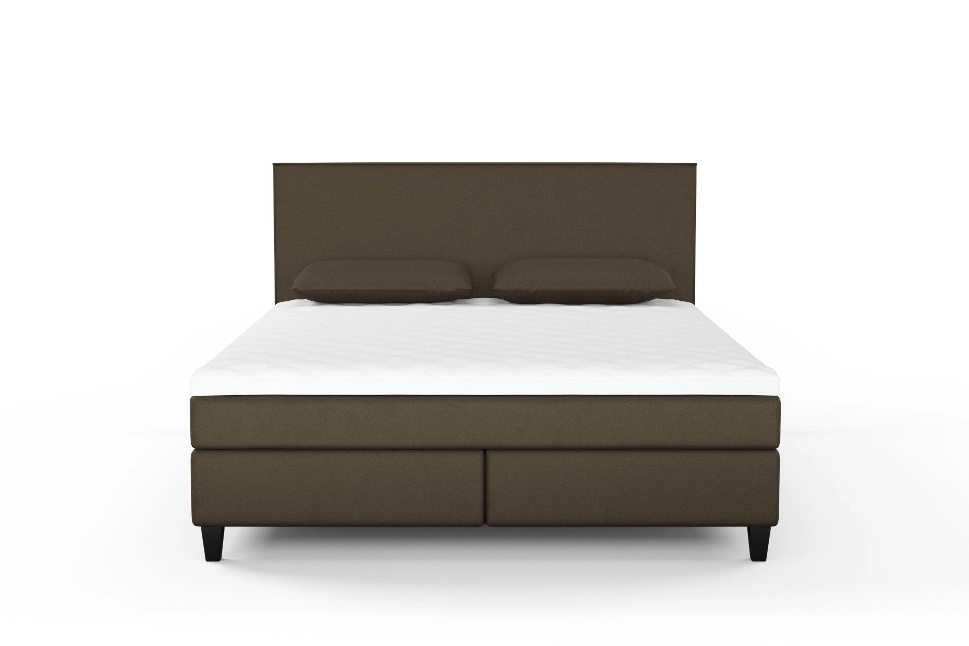 Sensuous--Sensuous--11-Khaki--Bed_Bed_Front.jpg
