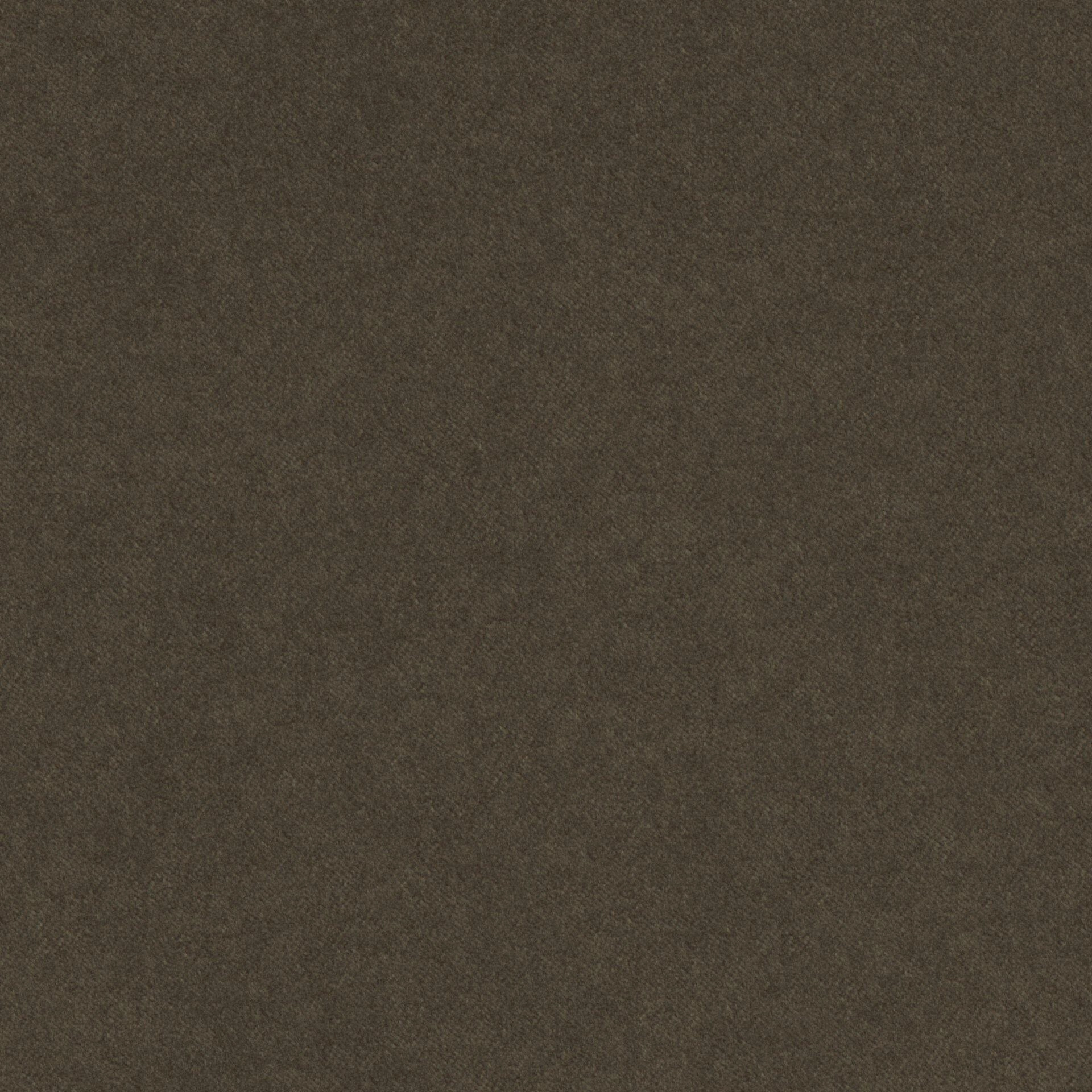 Sensuous--Sensuous--11-Khaki--FlatShot_FS_FS_20.jpg
