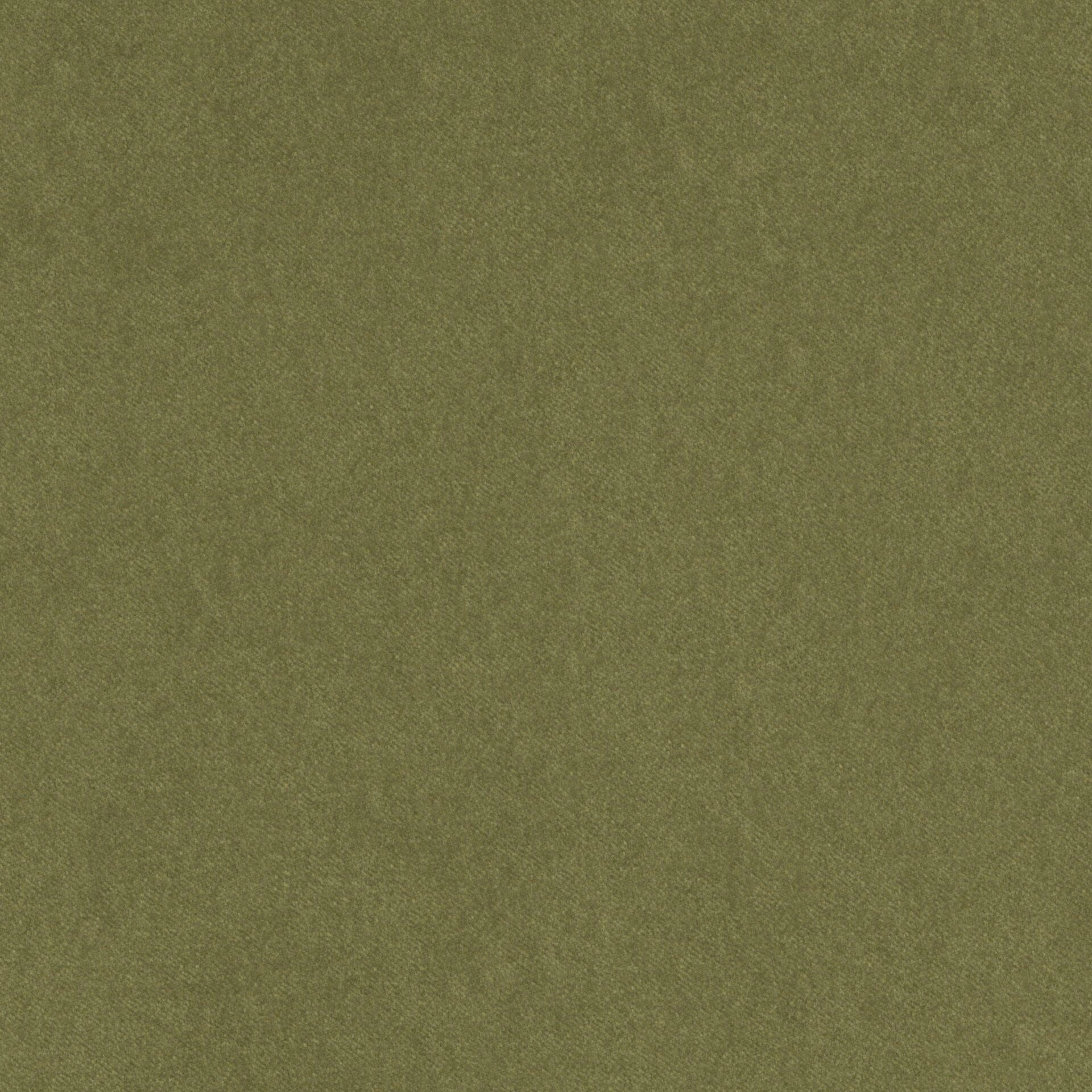 Sensuous--Sensuous--13-Fern--FlatShot_FS_FS_20.jpg