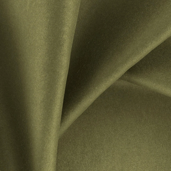Sensuous--Sensuous--13-Fern--CloseUp_TW_CU.jpg