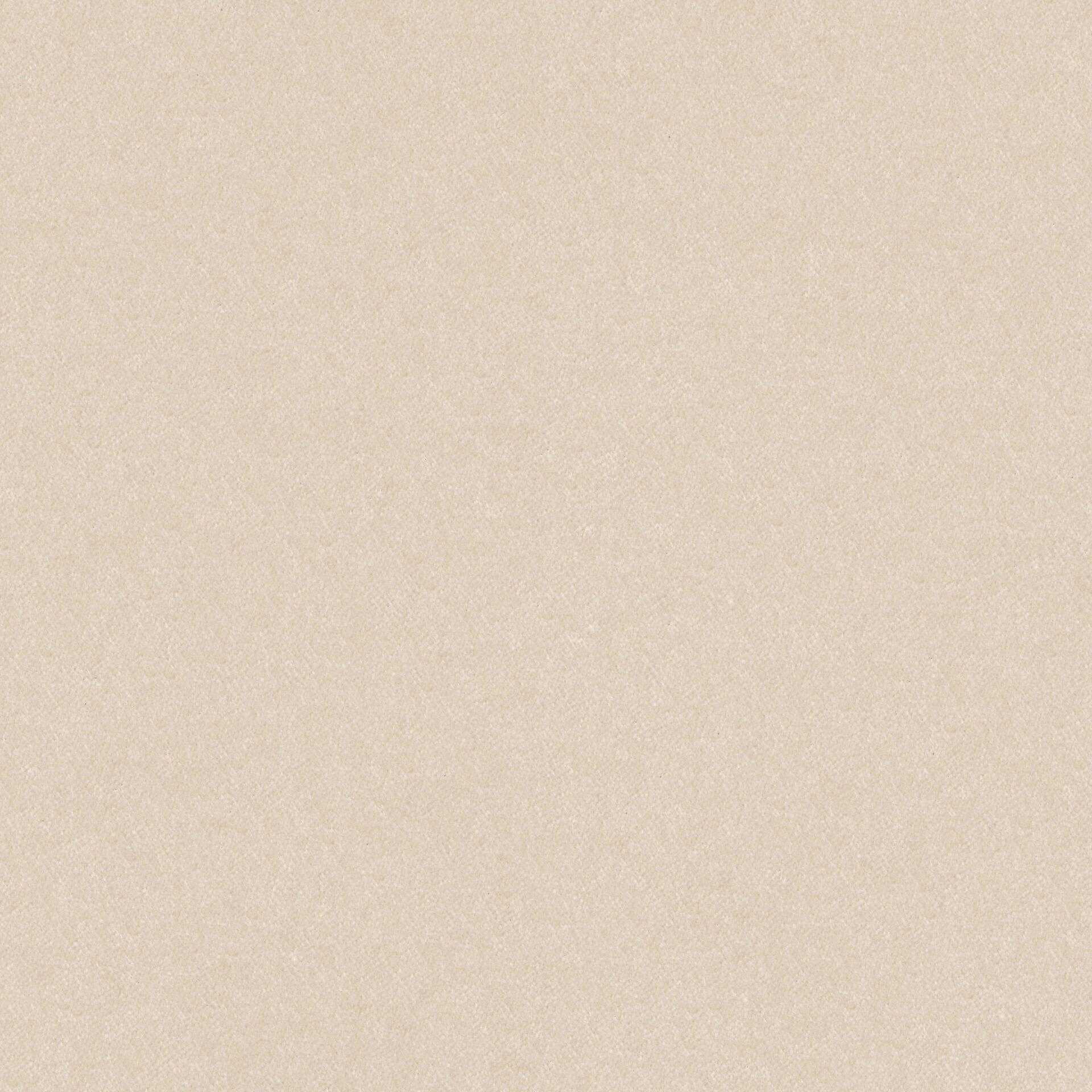 Sensuous--Sensuous--16-Titanium--FlatShot_FS_FS_20.jpg