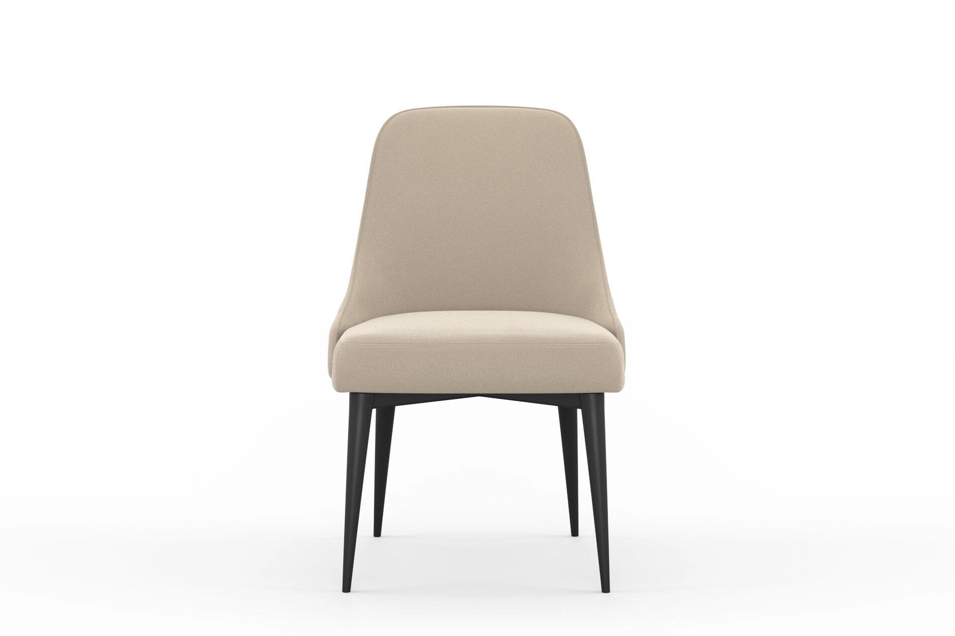 Sensuous--Sensuous--17-Earth--Chair_DiningChair_Front.jpg