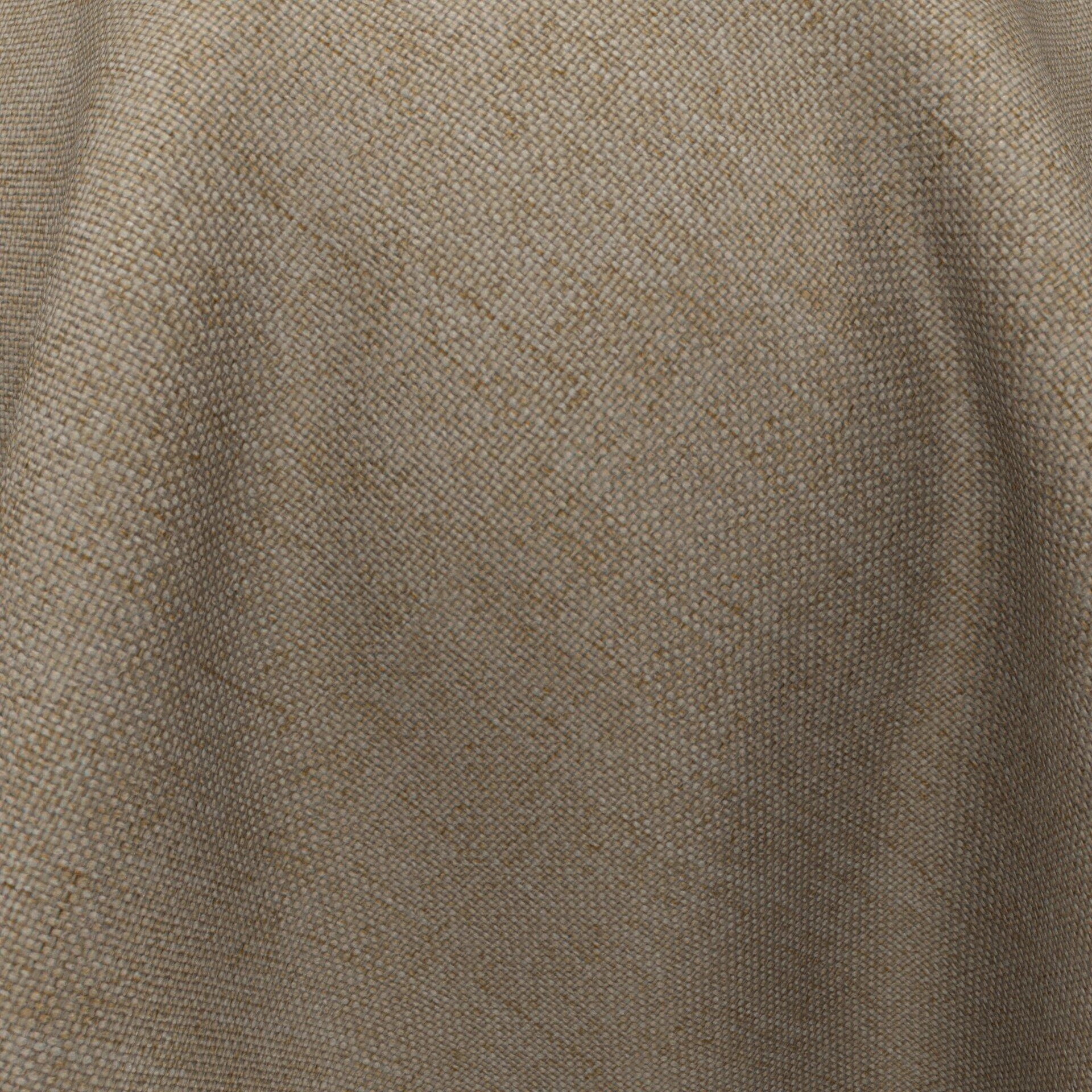 Solunar--Solunar--02-Funghi--CloseUp_BL_20_BL_20_CU.jpg