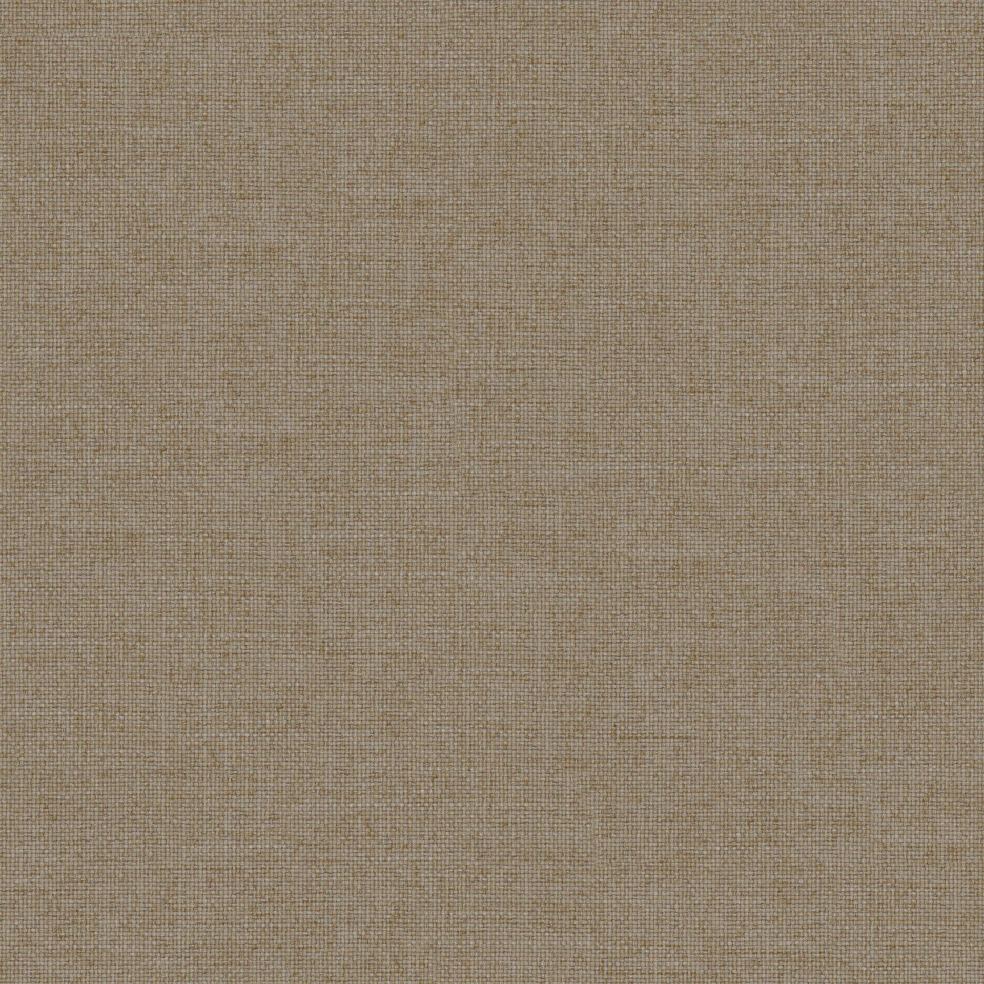 Solunar--Solunar--02-Funghi--FlatShot_FS_FS_20.jpg