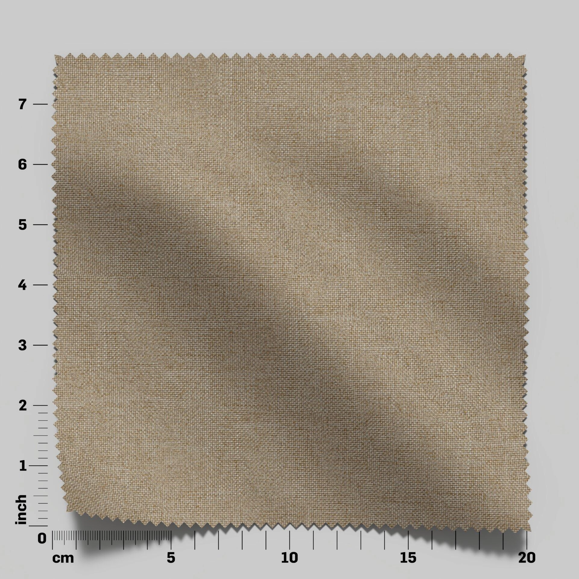 Solunar--Solunar--02-Funghi--FlatShot_Swatch_ruler_Front.jpg