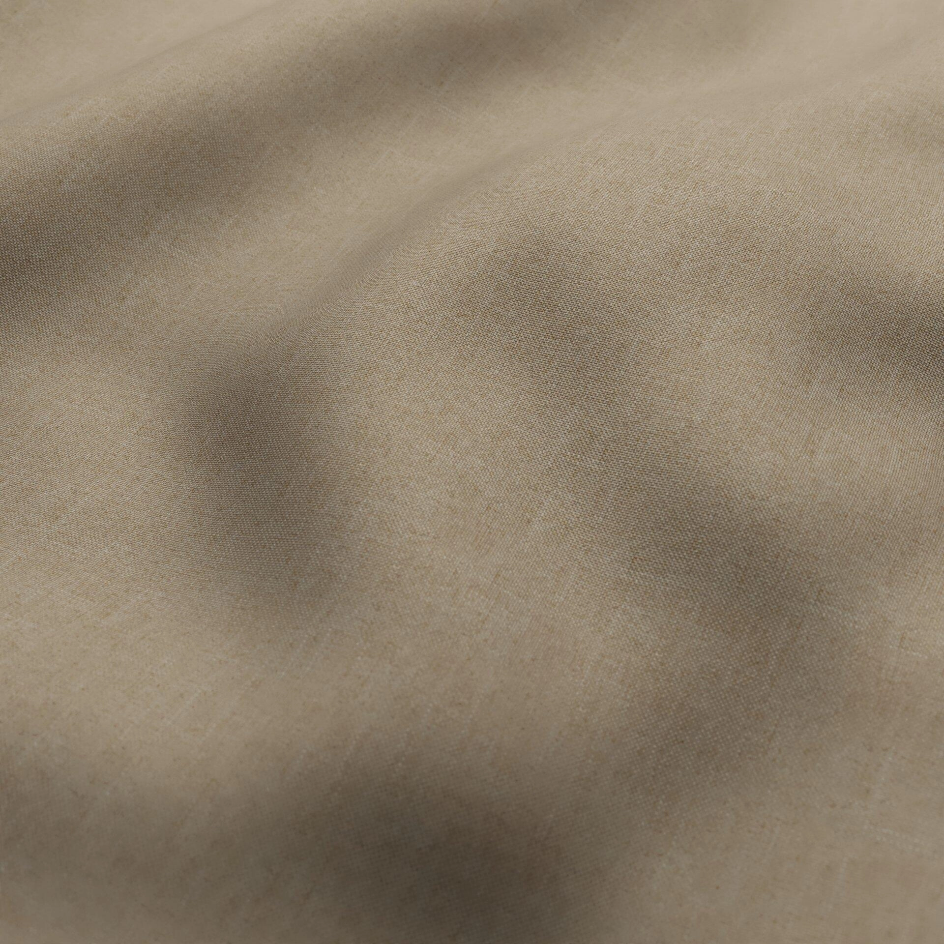 Solunar--Solunar--02-Funghi--Wrinkeled_WR_CloseUp.jpg