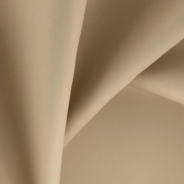 Starlight--Starlight--19-Camel--CloseUp_TW_CU.jpg