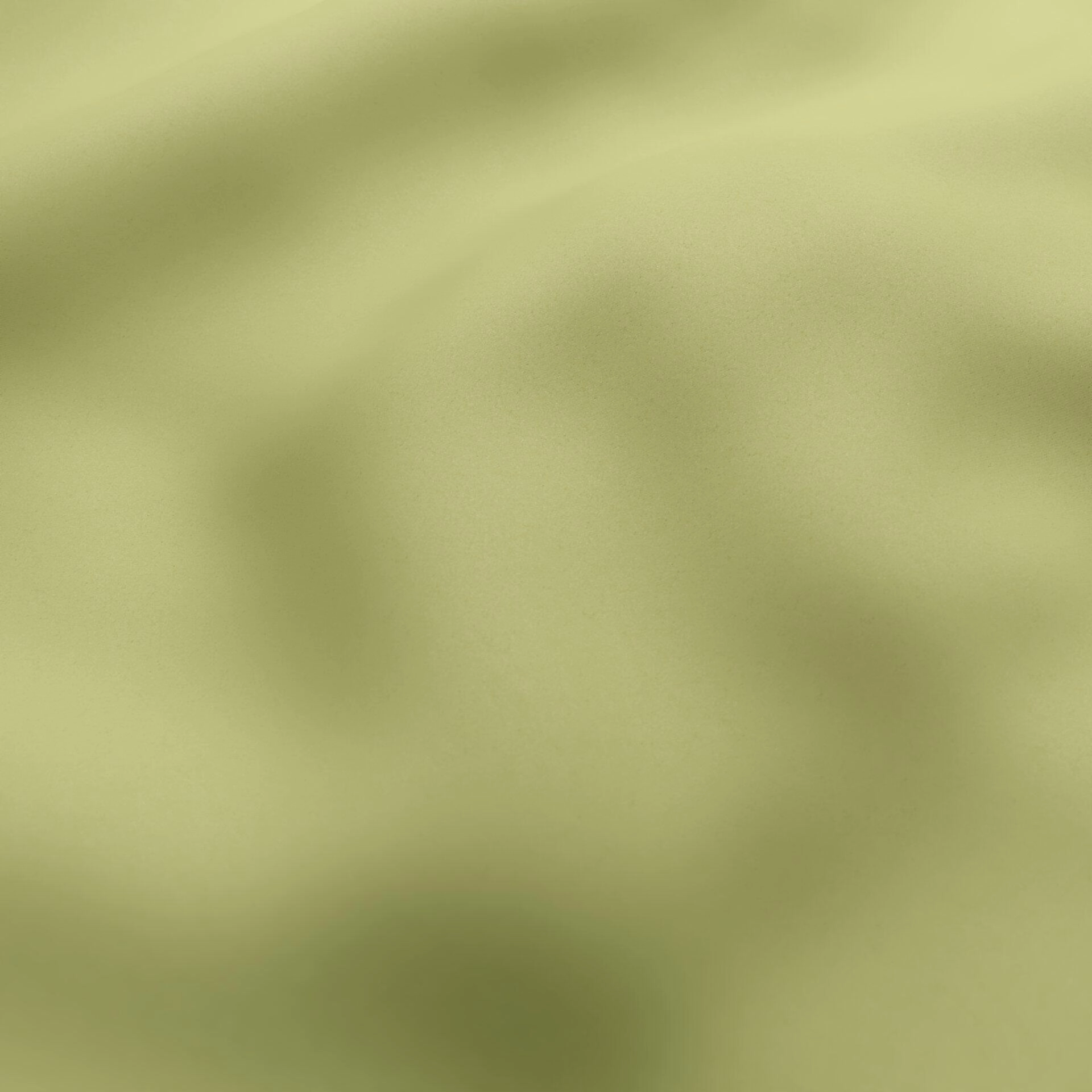 Starlight--Starlight--21-Leaf--Wrinkeled_WR_CloseUp.jpg