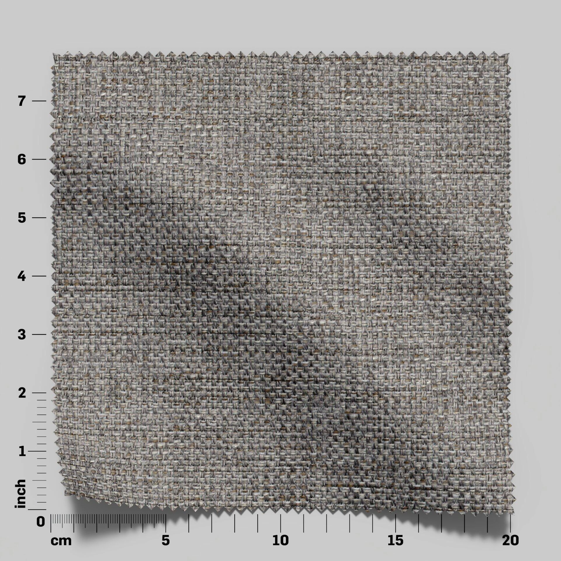 Lazarus--Latin--02-Griffin--FlatShot_Swatch_ruler_Front.jpg