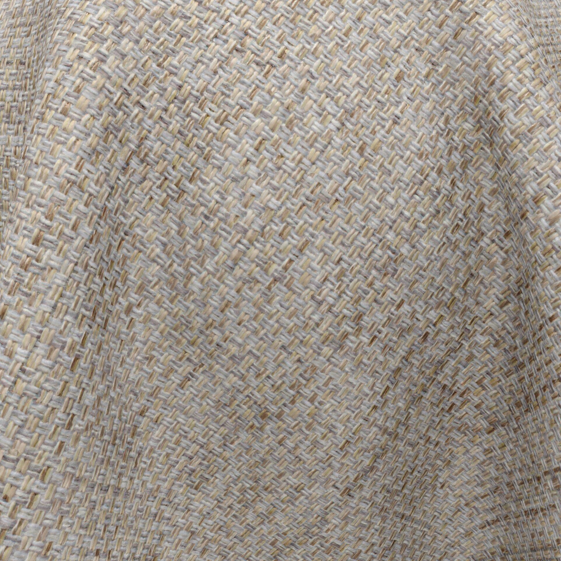 Lazarus--Latin--10-Oyster--CloseUp_BL_20_BL_20_CU.jpg