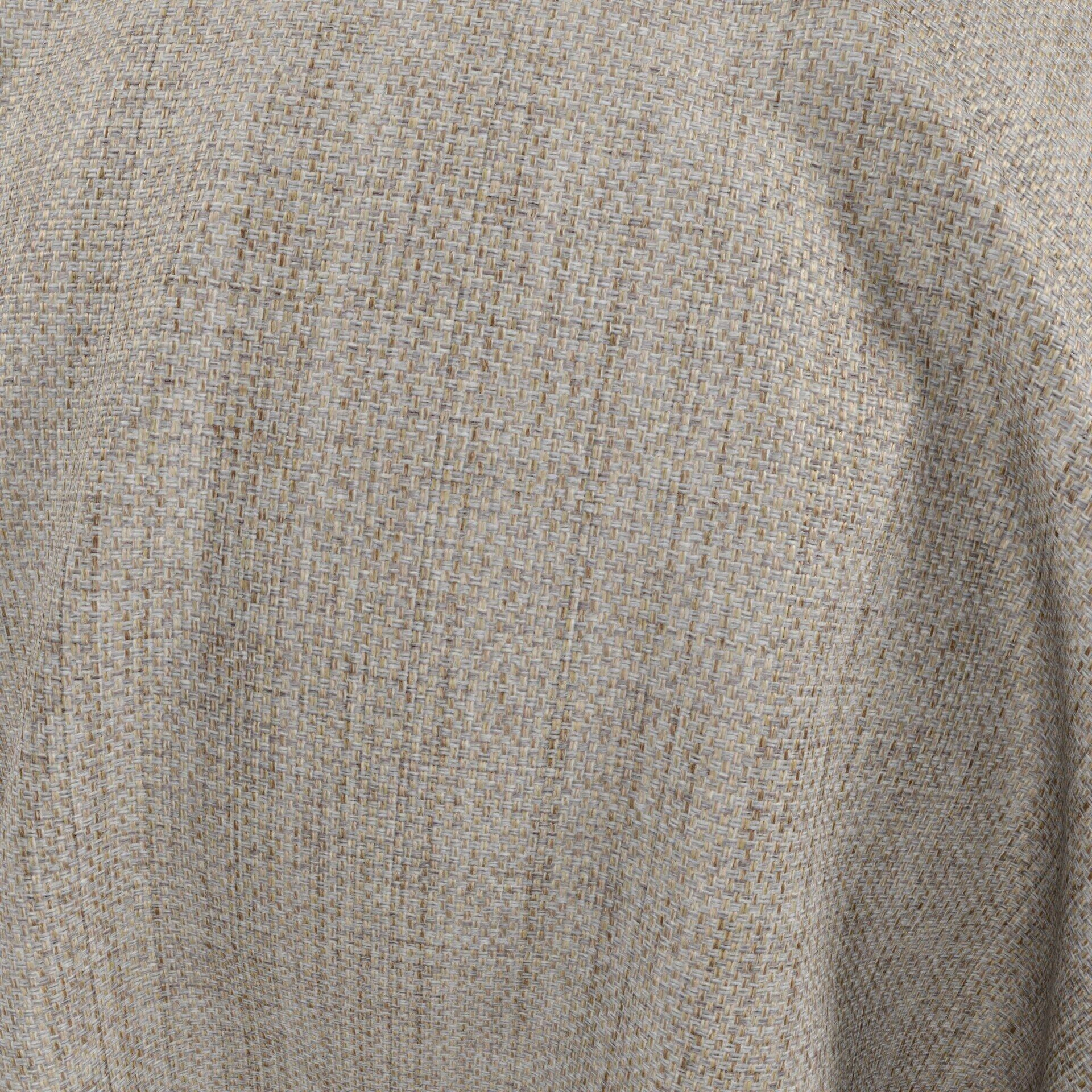 Lazarus--Latin--10-Oyster--CloseUp_BL_65_BL_65_CU.jpg