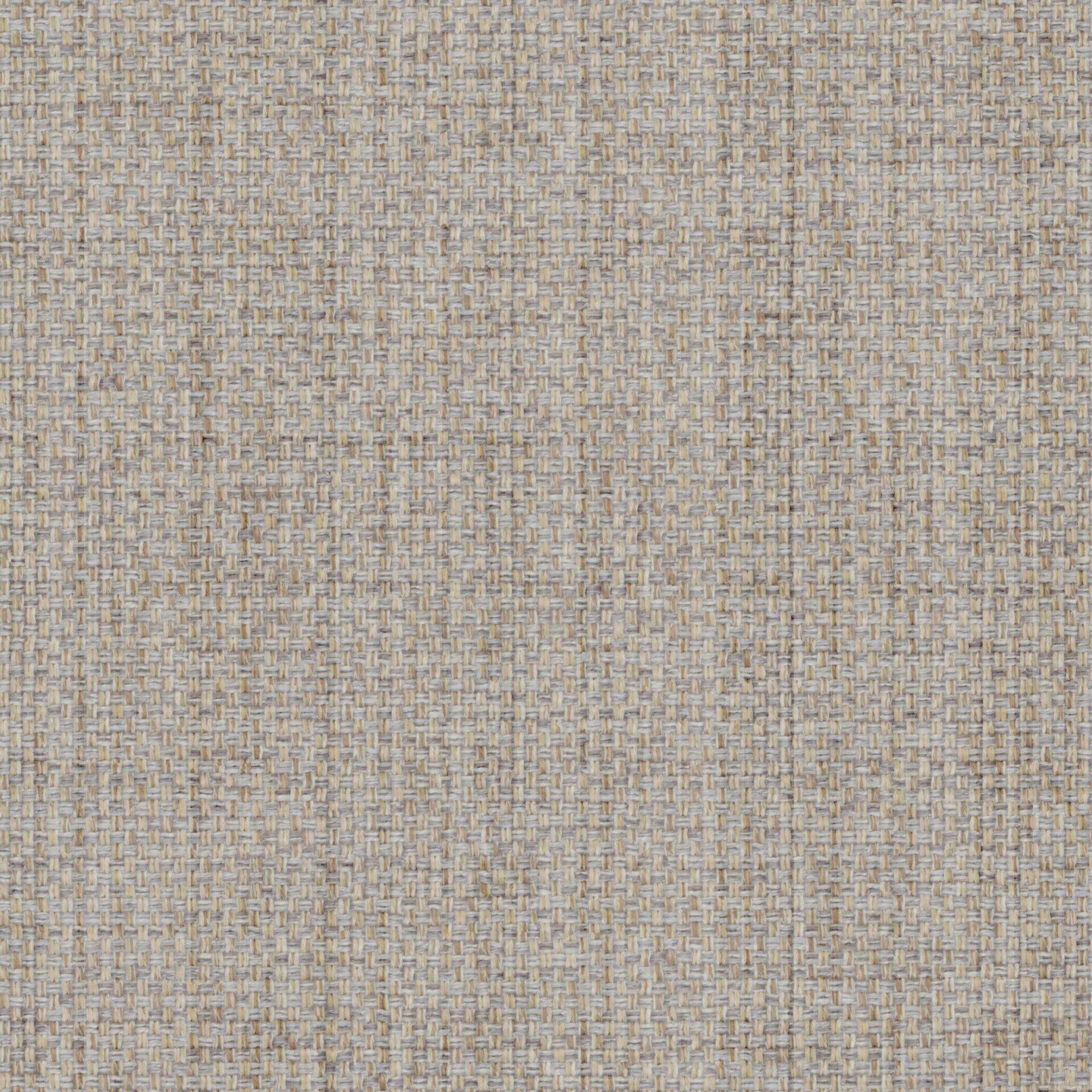 Lazarus--Latin--10-Oyster--FlatShot_FS_FS_20.jpg