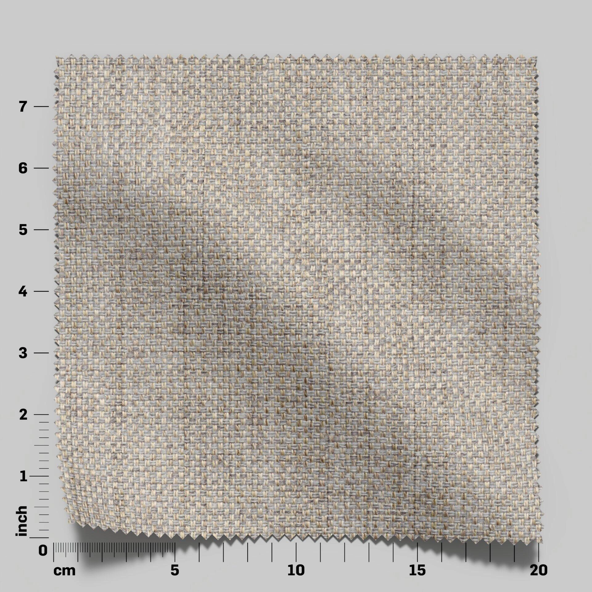 Lazarus--Latin--10-Oyster--FlatShot_Swatch_ruler_Front.jpg