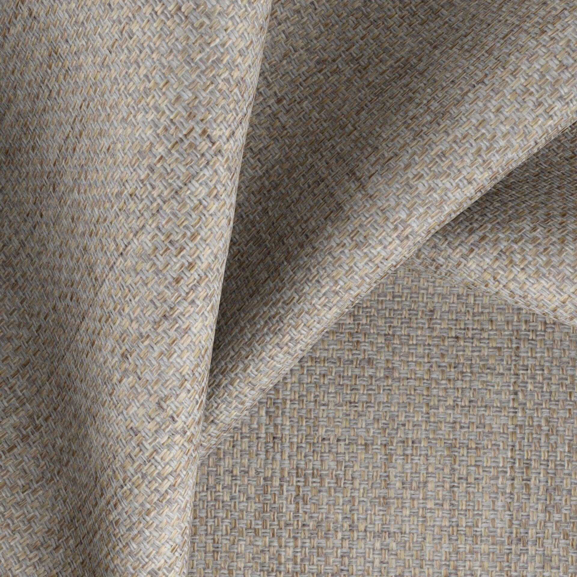 Lazarus--Latin--10-Oyster--CloseUp_TW_CU.jpg