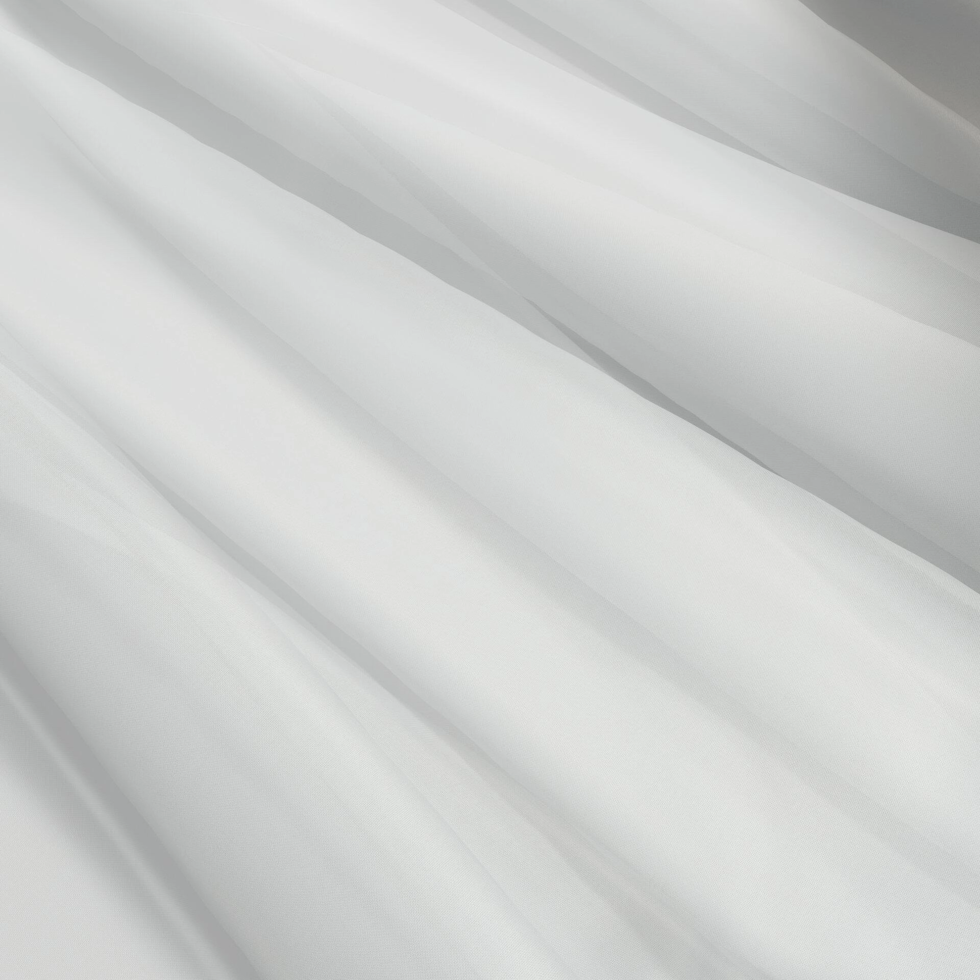 Life--Life--03-Bone - Homer 14400140002--Curtain_Wave_Detail.jpg