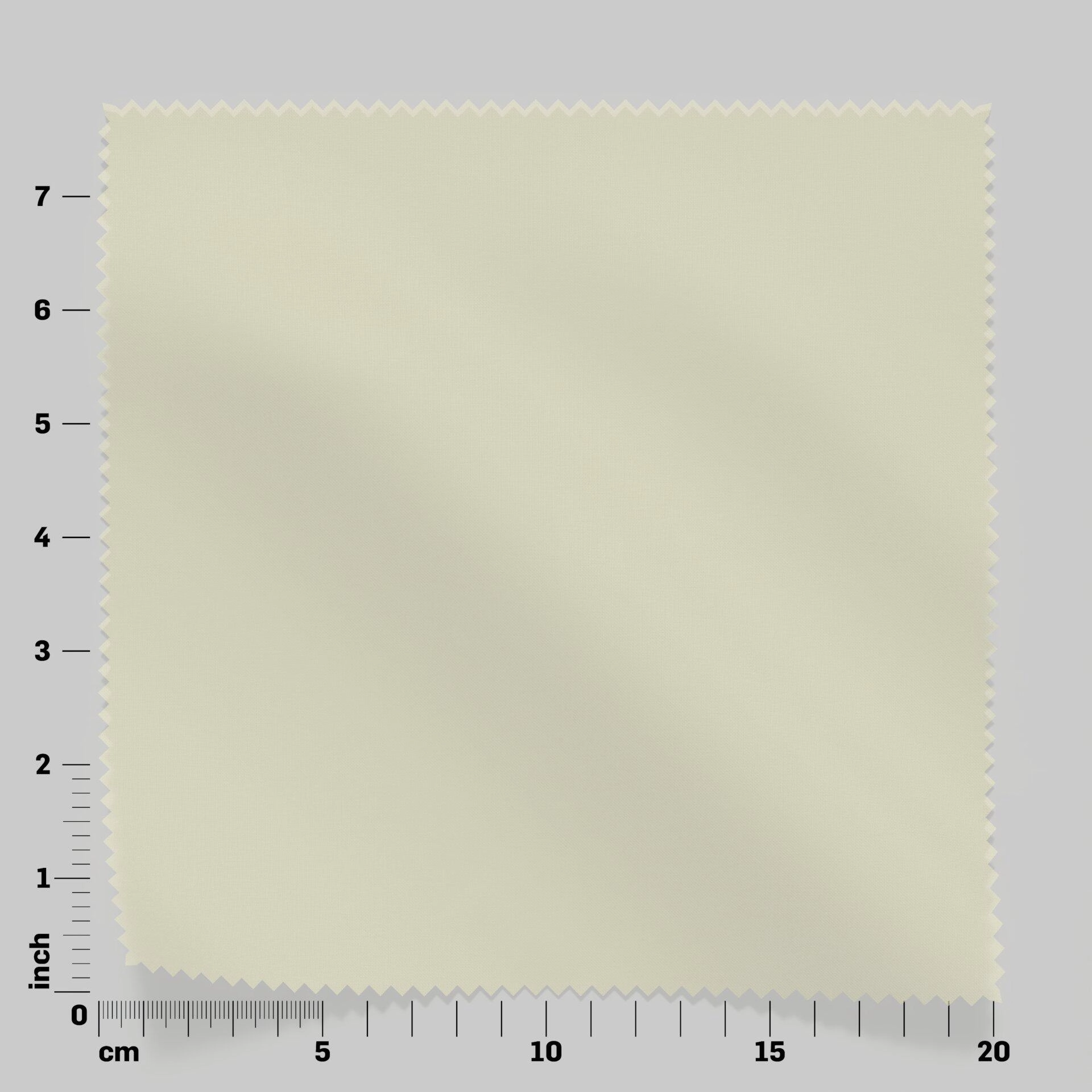 Life--Life--10-Sun--FlatShot_Swatch_ruler_Front.jpg