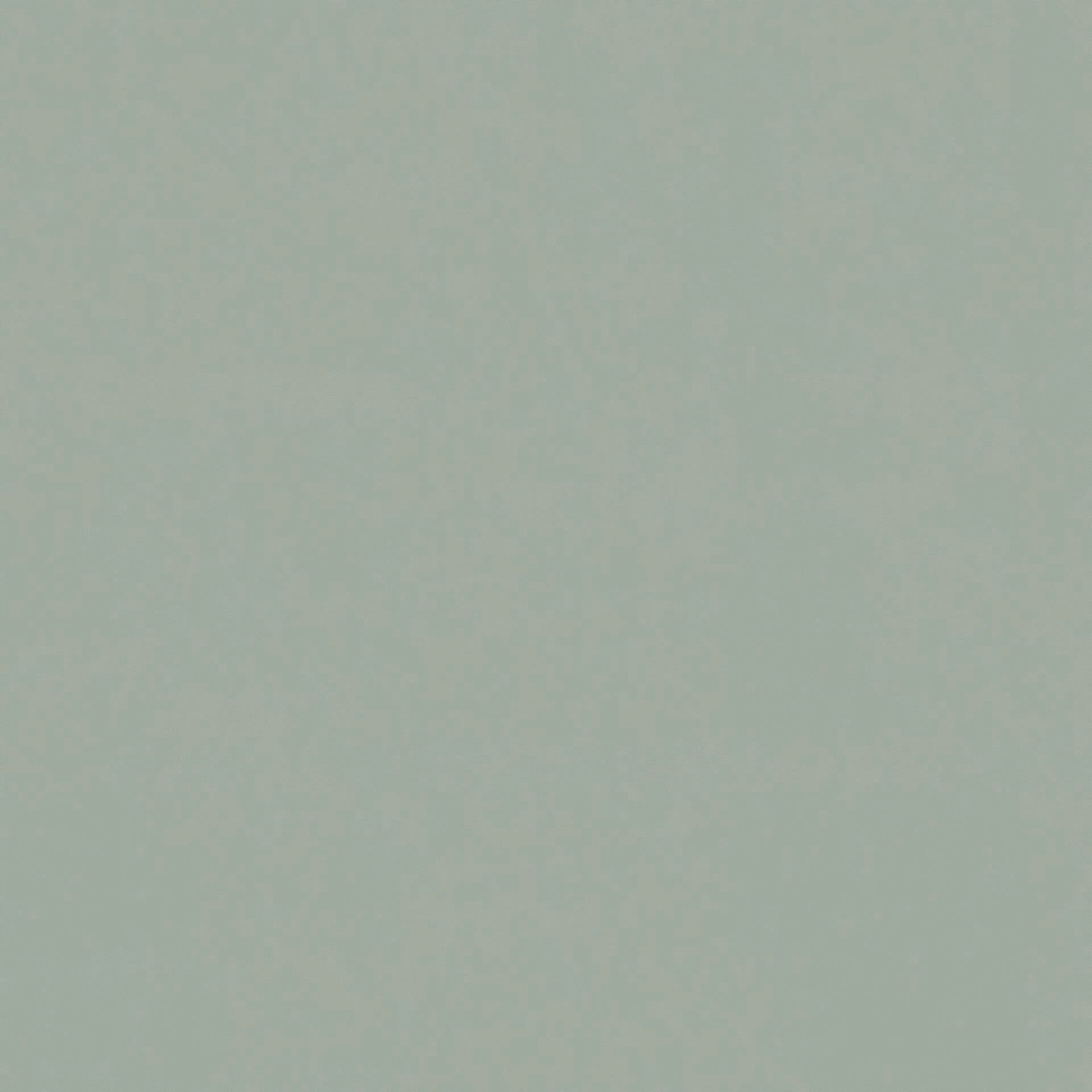 Life--Life--12-Sage - Homer 14400135020--FlatShot_FS_FS_20.jpg