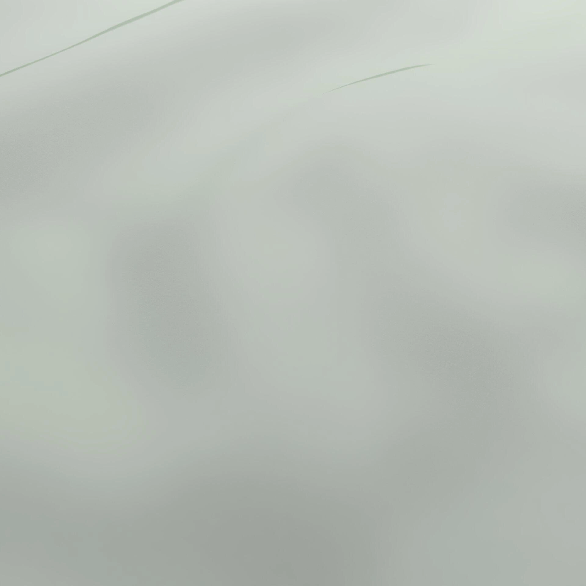 Life--Life--12-Sage - Homer 14400135020--Wrinkeled_WR_CloseUp.jpg