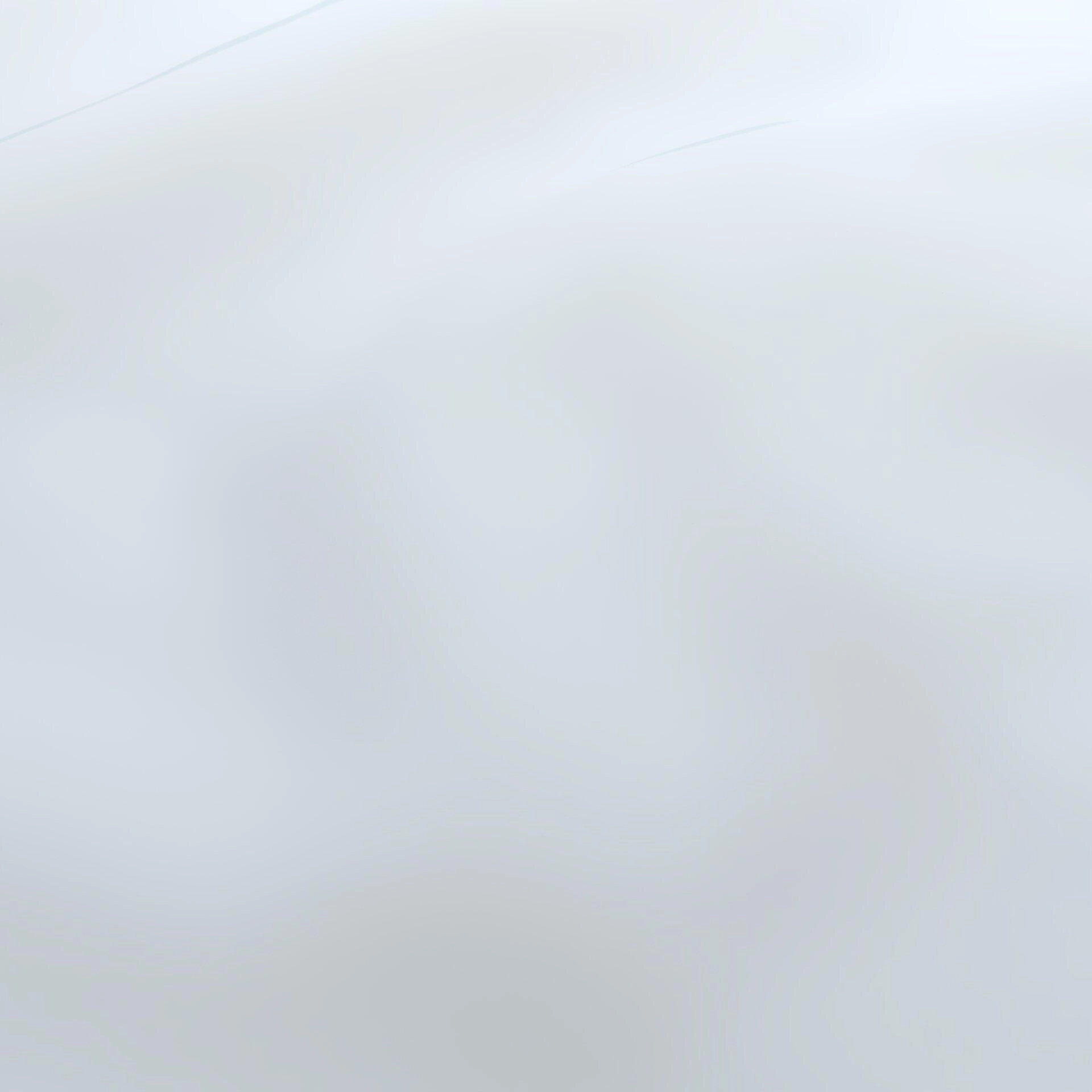 Life--Life--16-Mist - Homer 14400155212--Wrinkeled_WR_CloseUp.jpg