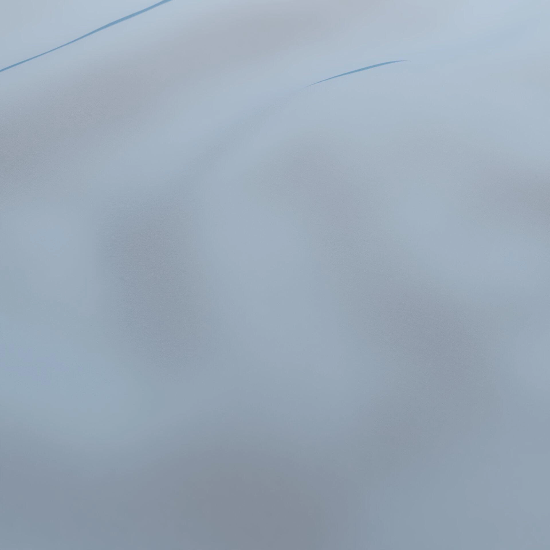 Life--Life--17-Marine - Homer 14400164611--Wrinkeled_WR_CloseUp.jpg