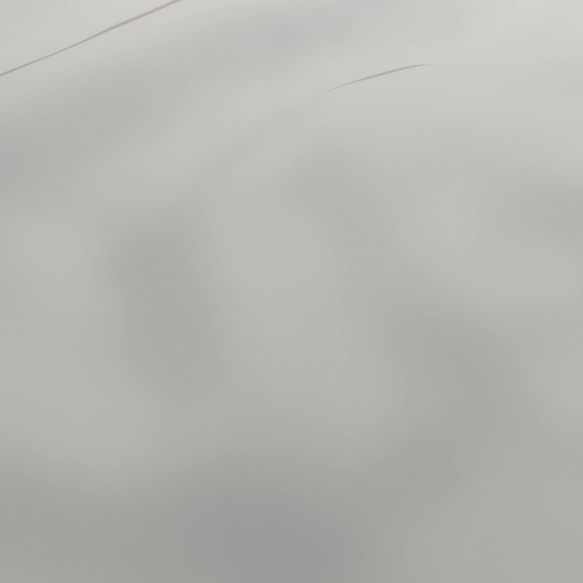 Life--Life--20-Stone - Homer 14400140427--Wrinkeled_WR_CloseUp.jpg