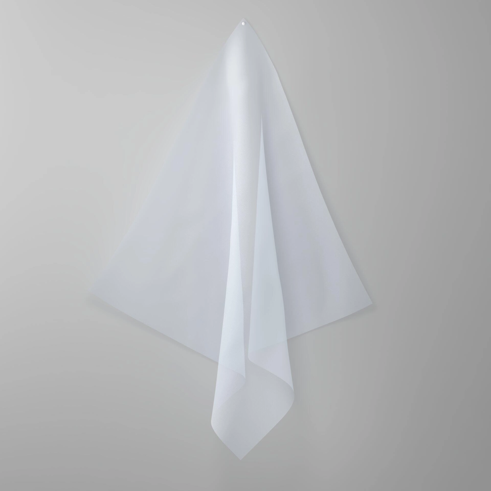 Life--Life--24-Fog - Homer 14400142706--Curtain_Hangdown_Full.jpg
